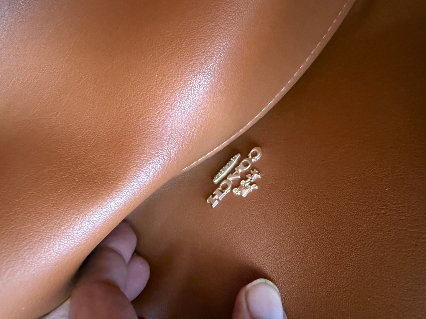 Coach Hadley Suede Tote Master Series.