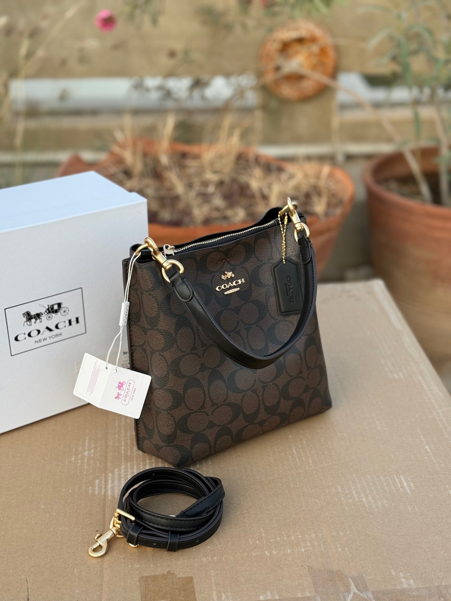 Coach Mollie 22 Bucket Bag Master Plus Series With box