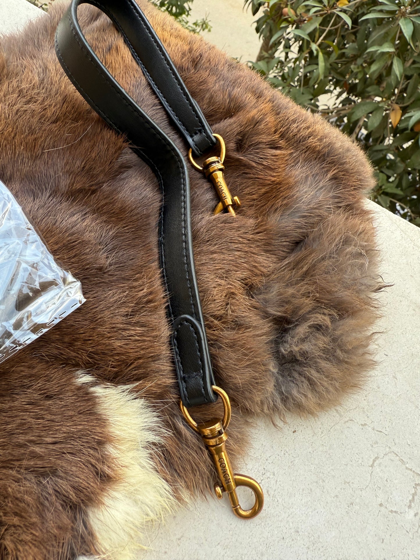 Coach Tabby Mini ( Basic Budget series )