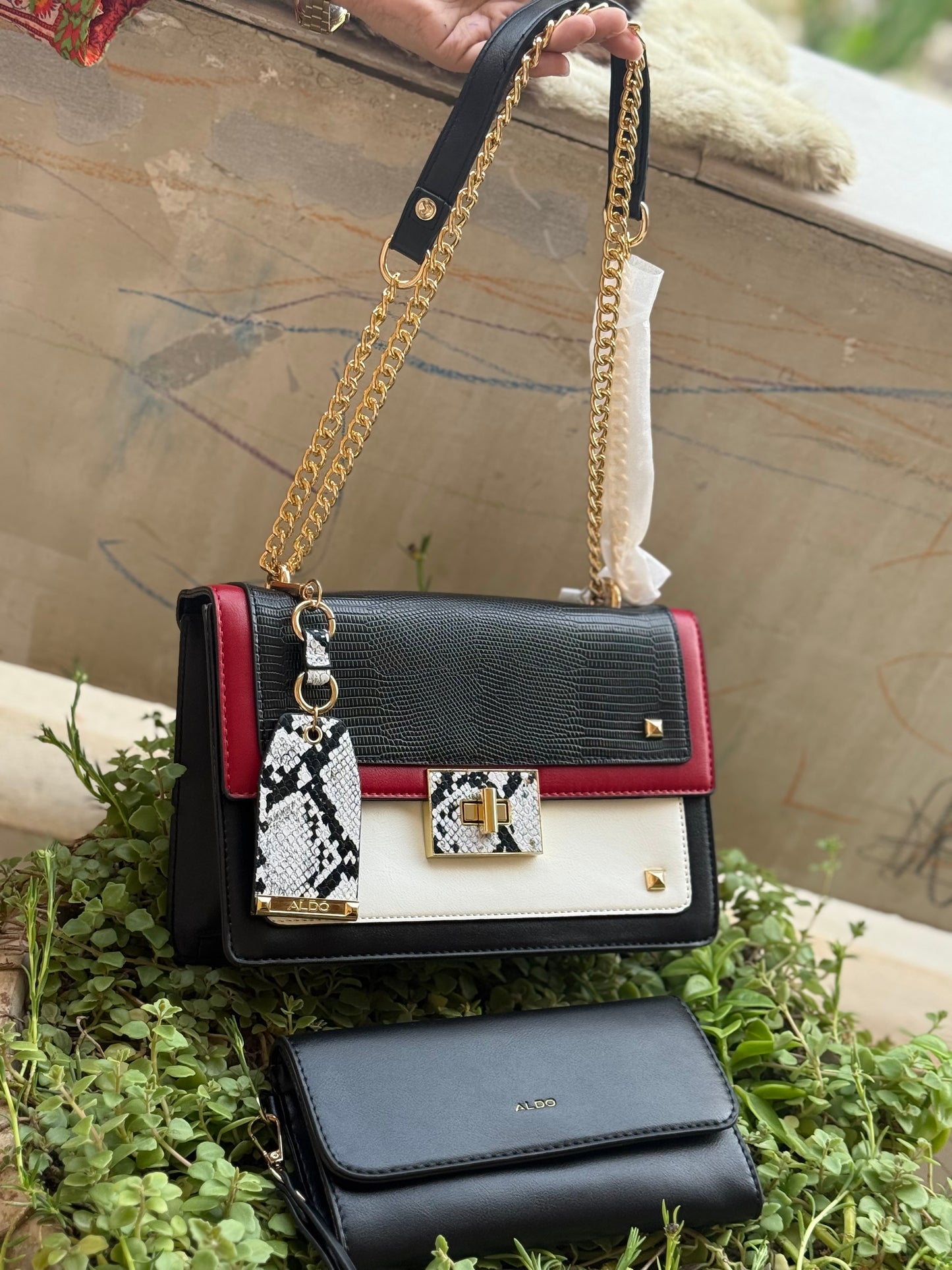 Aldo Byworth Crossbody/Shoulder With Box