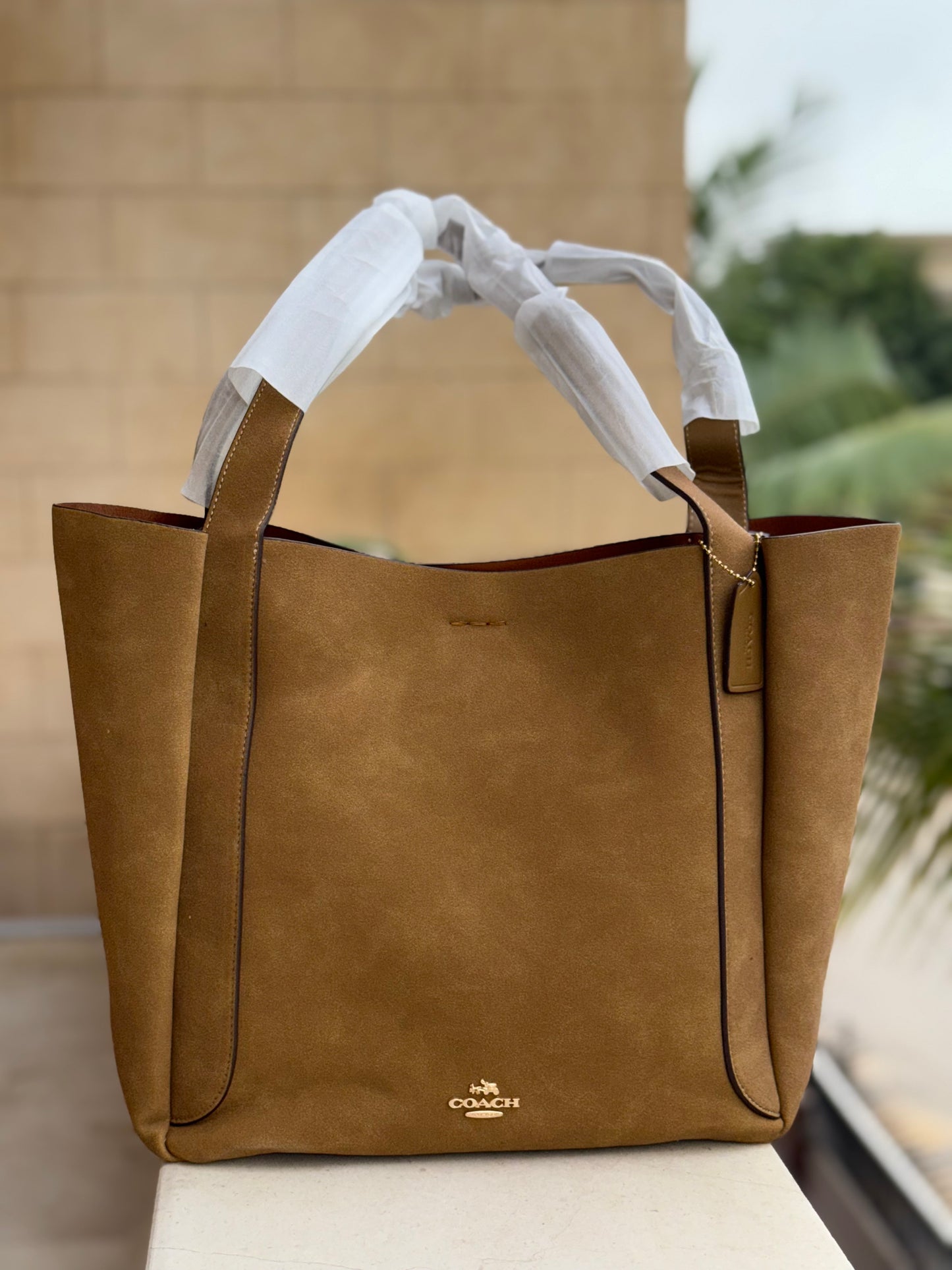 Coach Hadley Suede Tote Master Series.