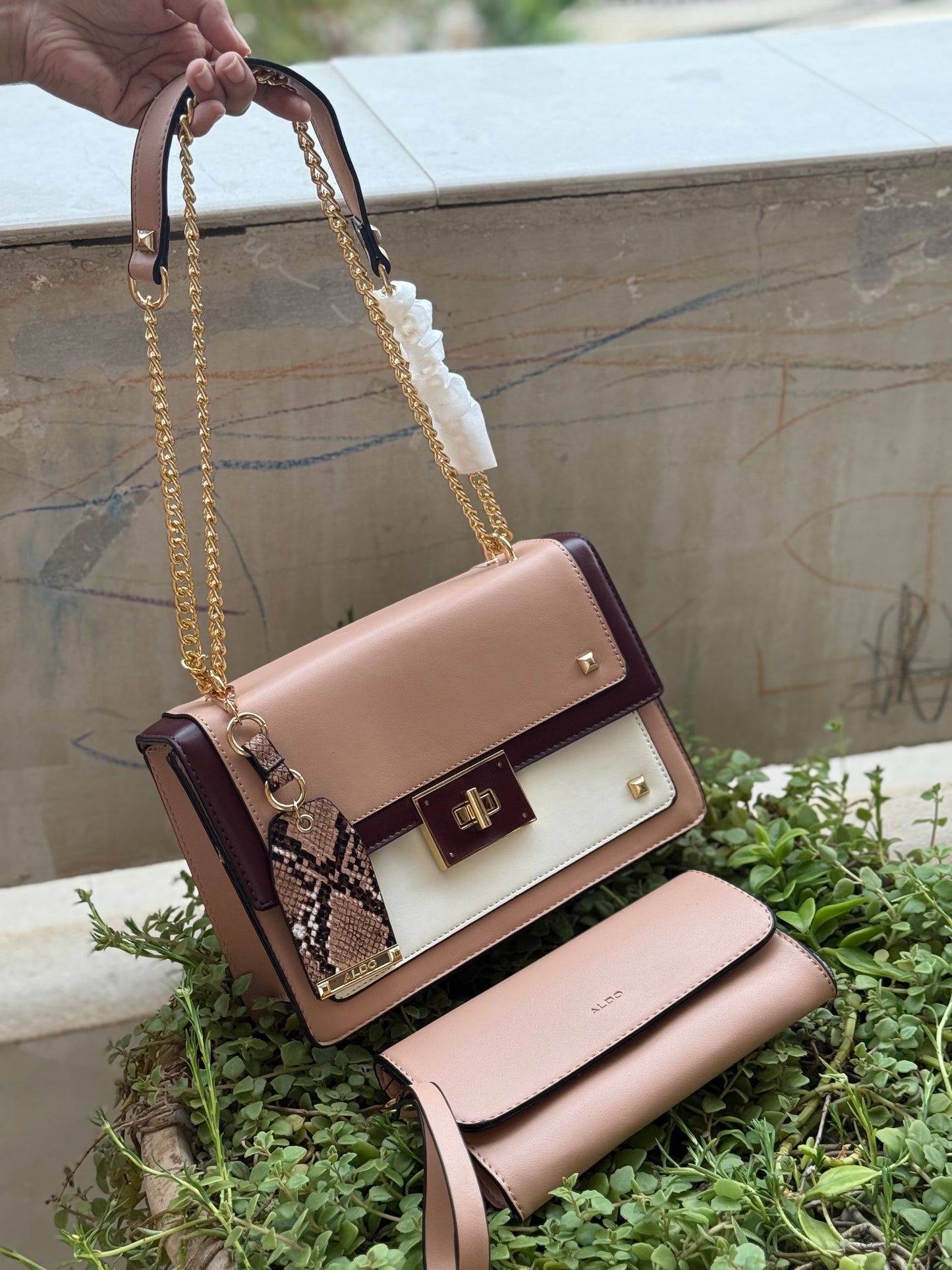 Aldo Byworth Crossbody/Shoulder With Box