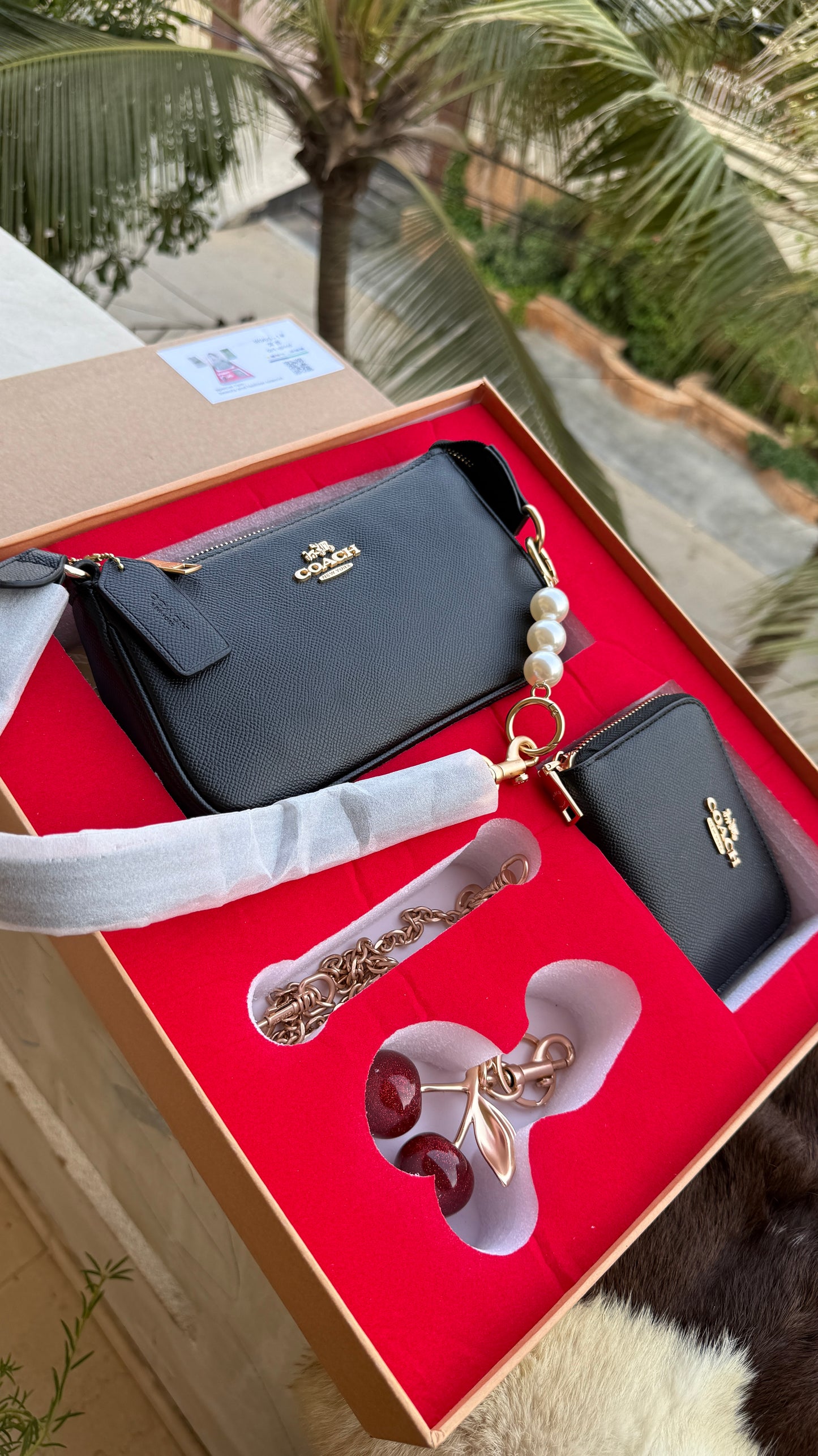 Coach Nolita 19 All inclusive Box Set-Master Series