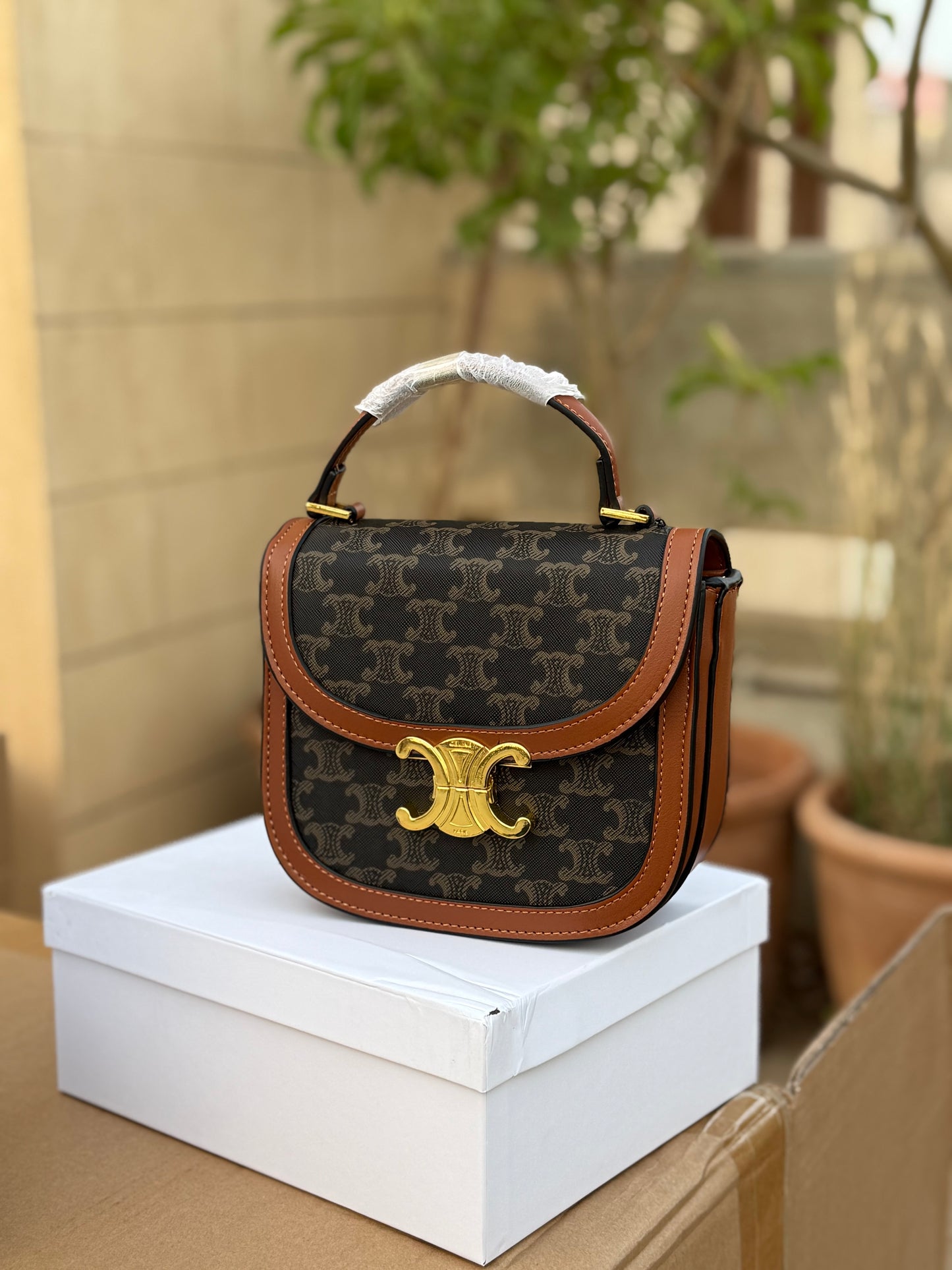 Celine BESACE CLEA Master Series With Box Packaging