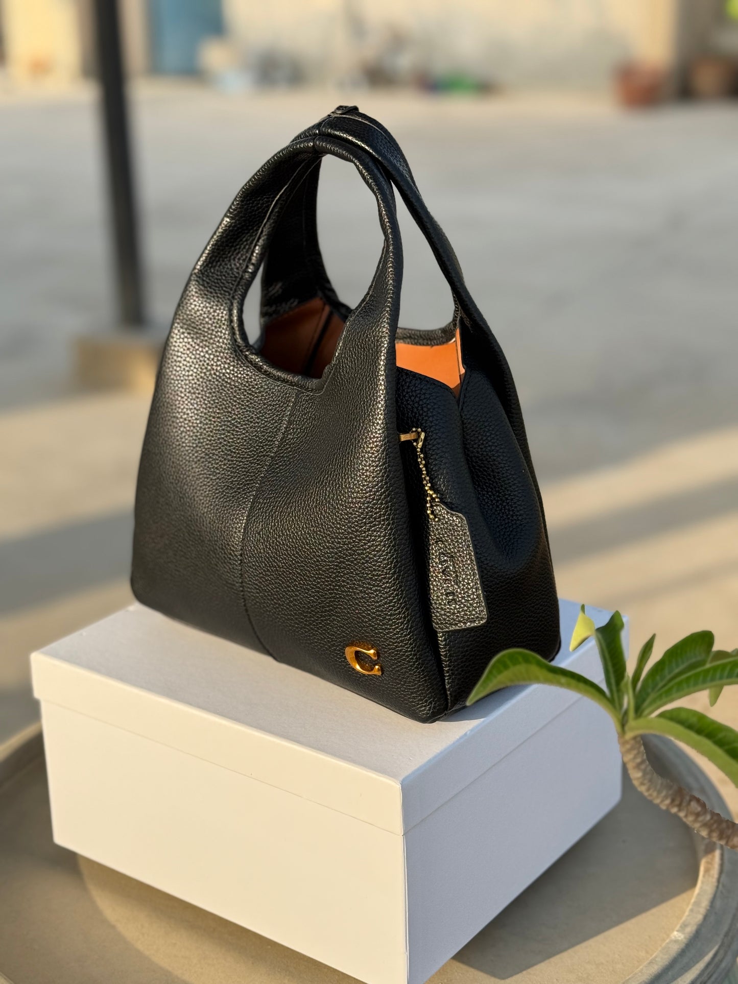 Coach Lana 23 Shoulder bag with box ( Master Series )