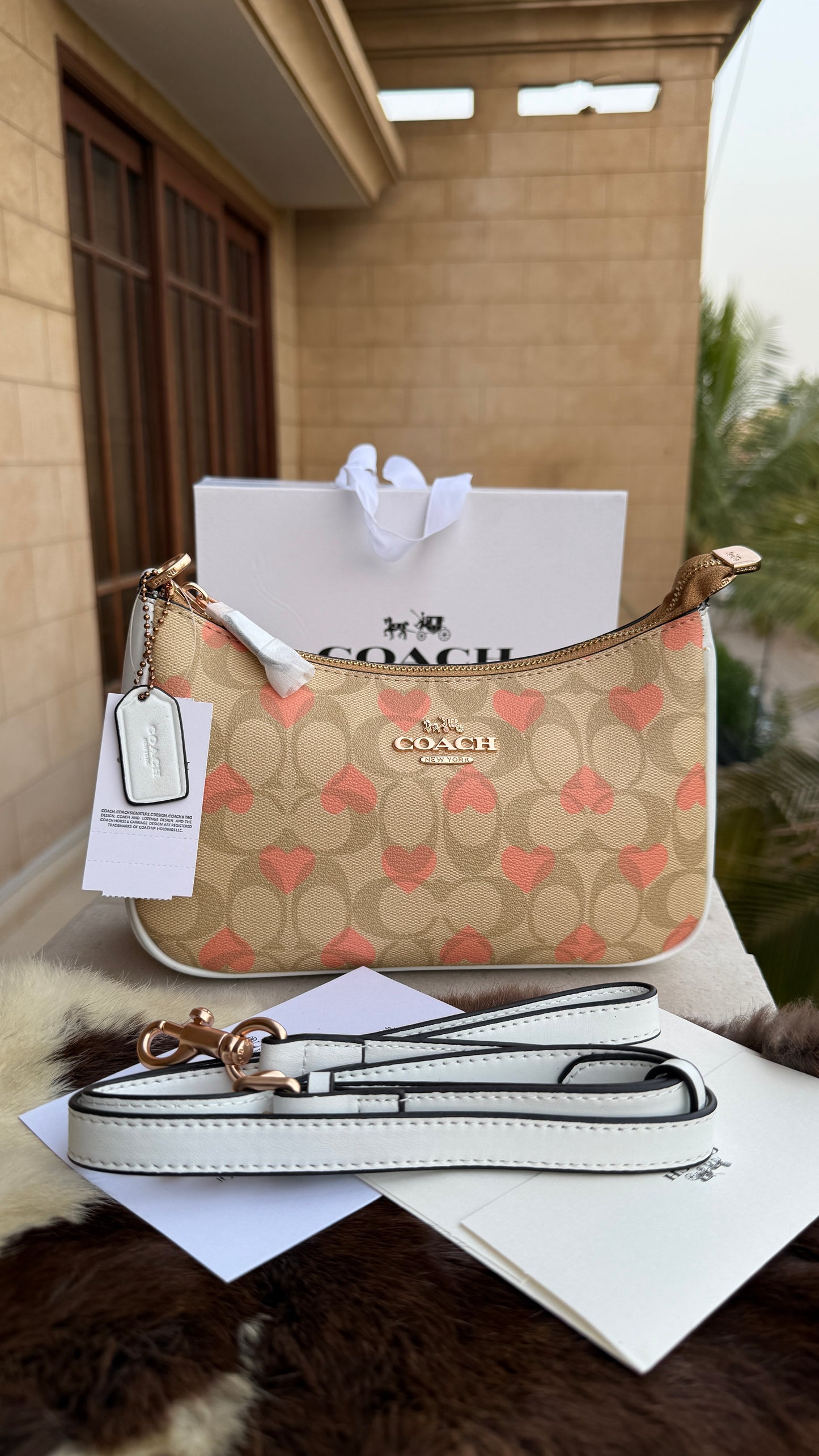 Coach Teri Hobo-Master Plus Series-folding box packaging.