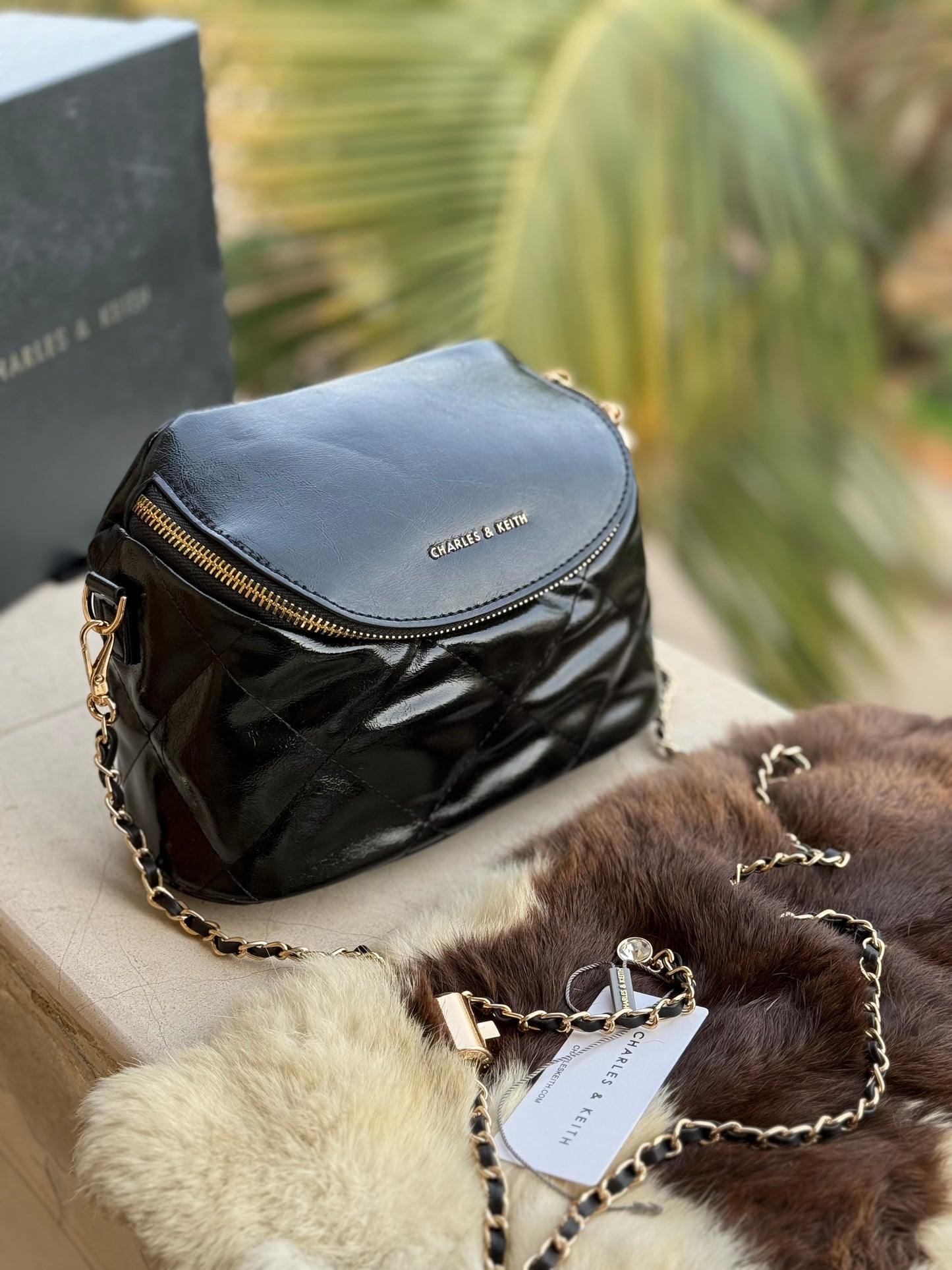 Charles & Keith Apfra Quilted Crossbody Bag With Box-Master Series