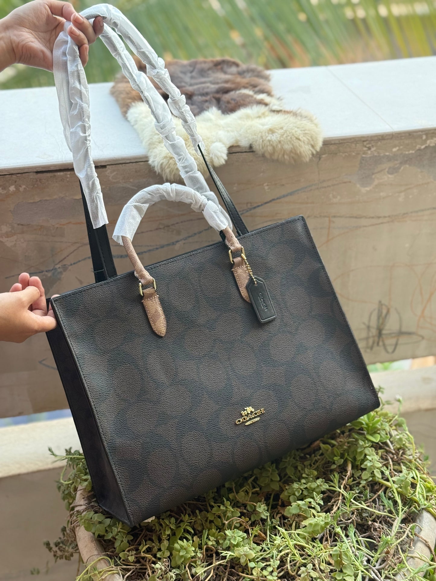 C O A C H Maggie Tote-With Box Master Series