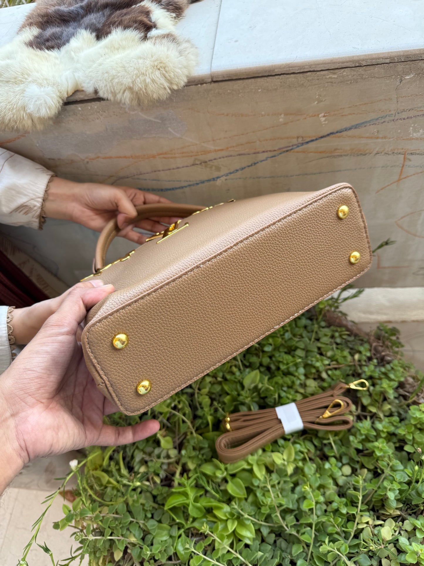 LV Capucines Basic Budget series bag