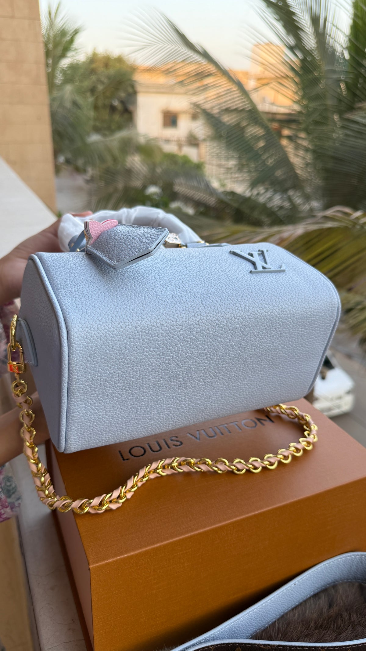Louis Vuitton Speedy Nano-AAA Series-double Folding box