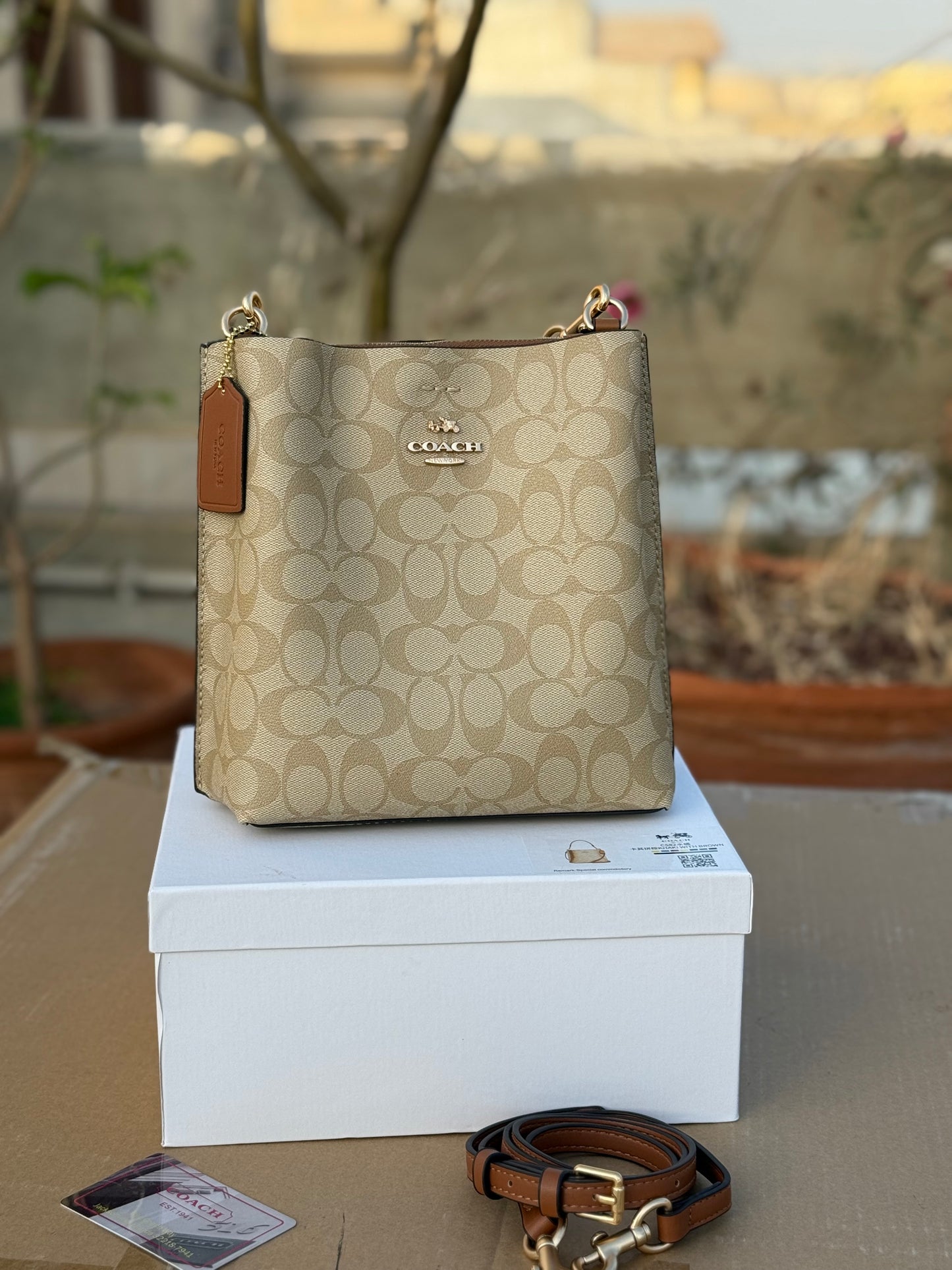 Coach Mollie 22 Bucket Bag Master Plus Series With box