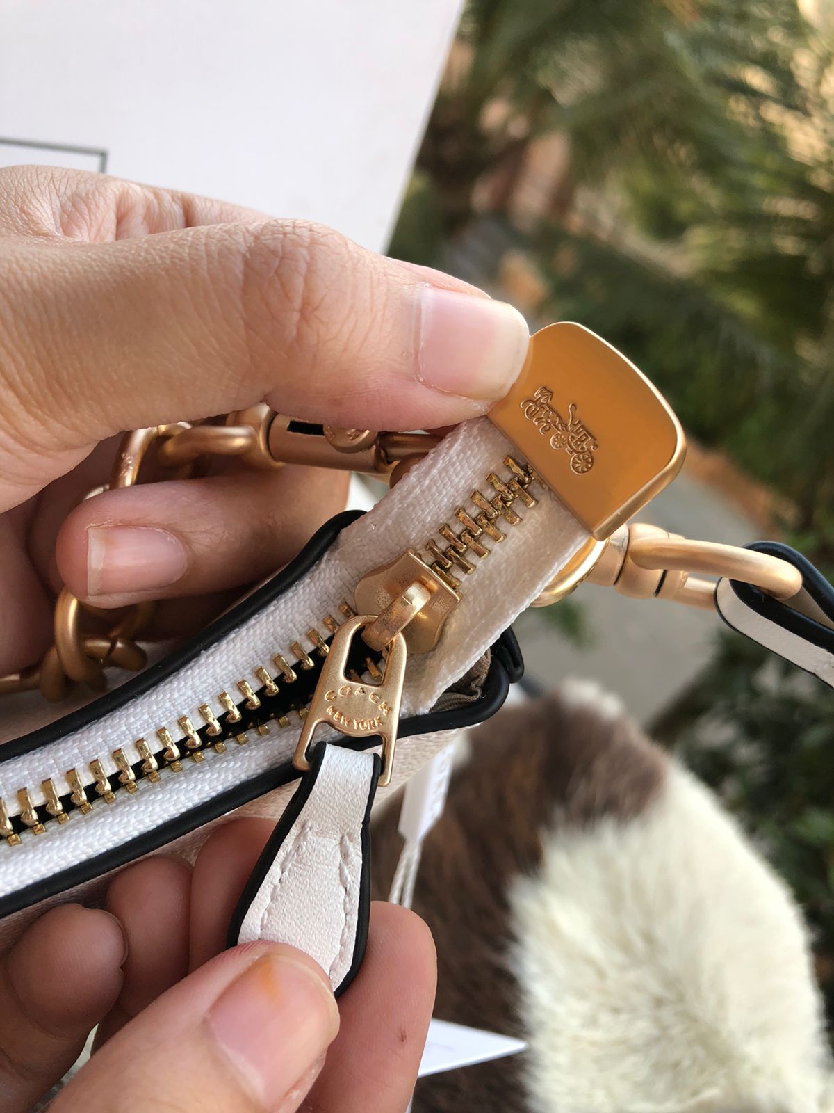 Coach Teri Hobo Bag Master Series