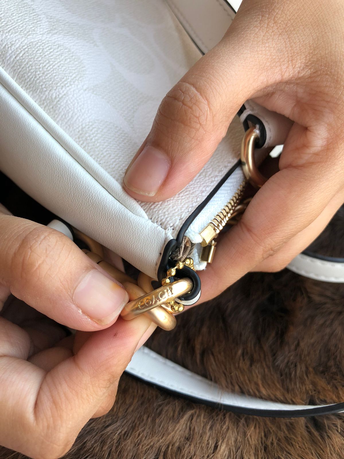 Coach Teri Hobo Bag Master Series