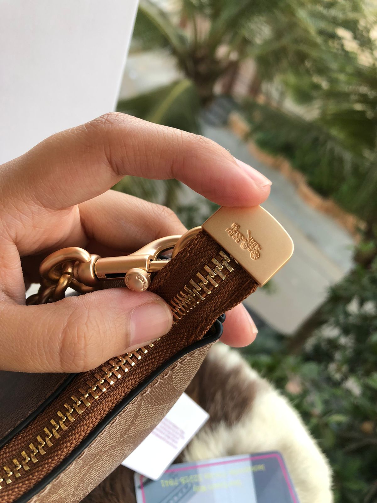 Coach Teri Hobo Bag ( Master Series ) With Box Packaging