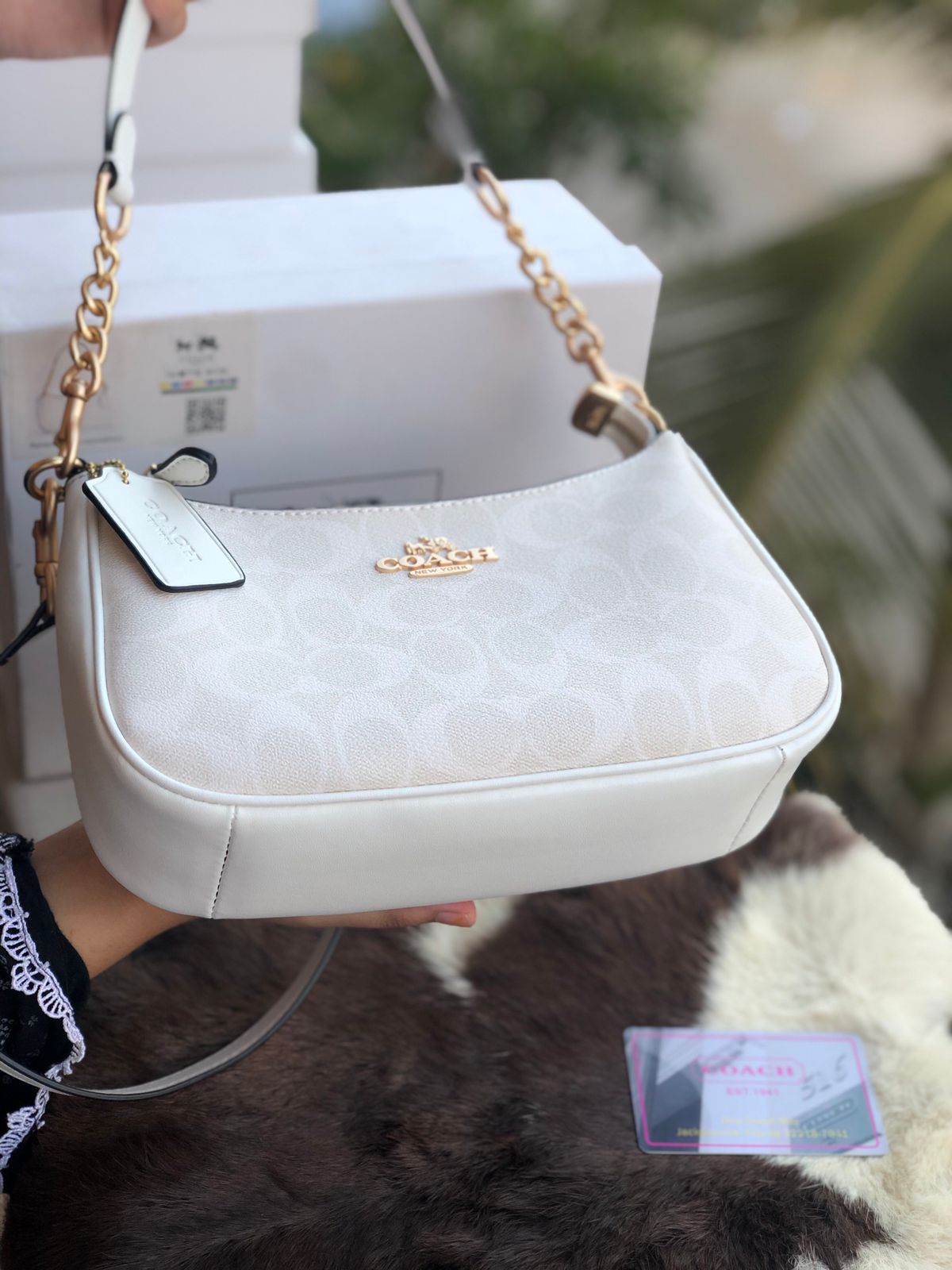 Coach Teri Hobo Bag Master Series