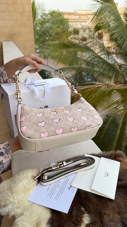 Coach Teri Hobo-Master Plus Series-folding box packaging.