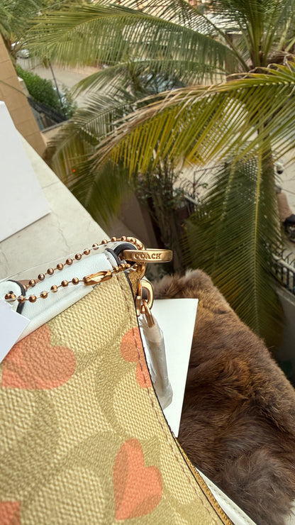 Coach Teri Hobo-Master Plus Series-folding box packaging.