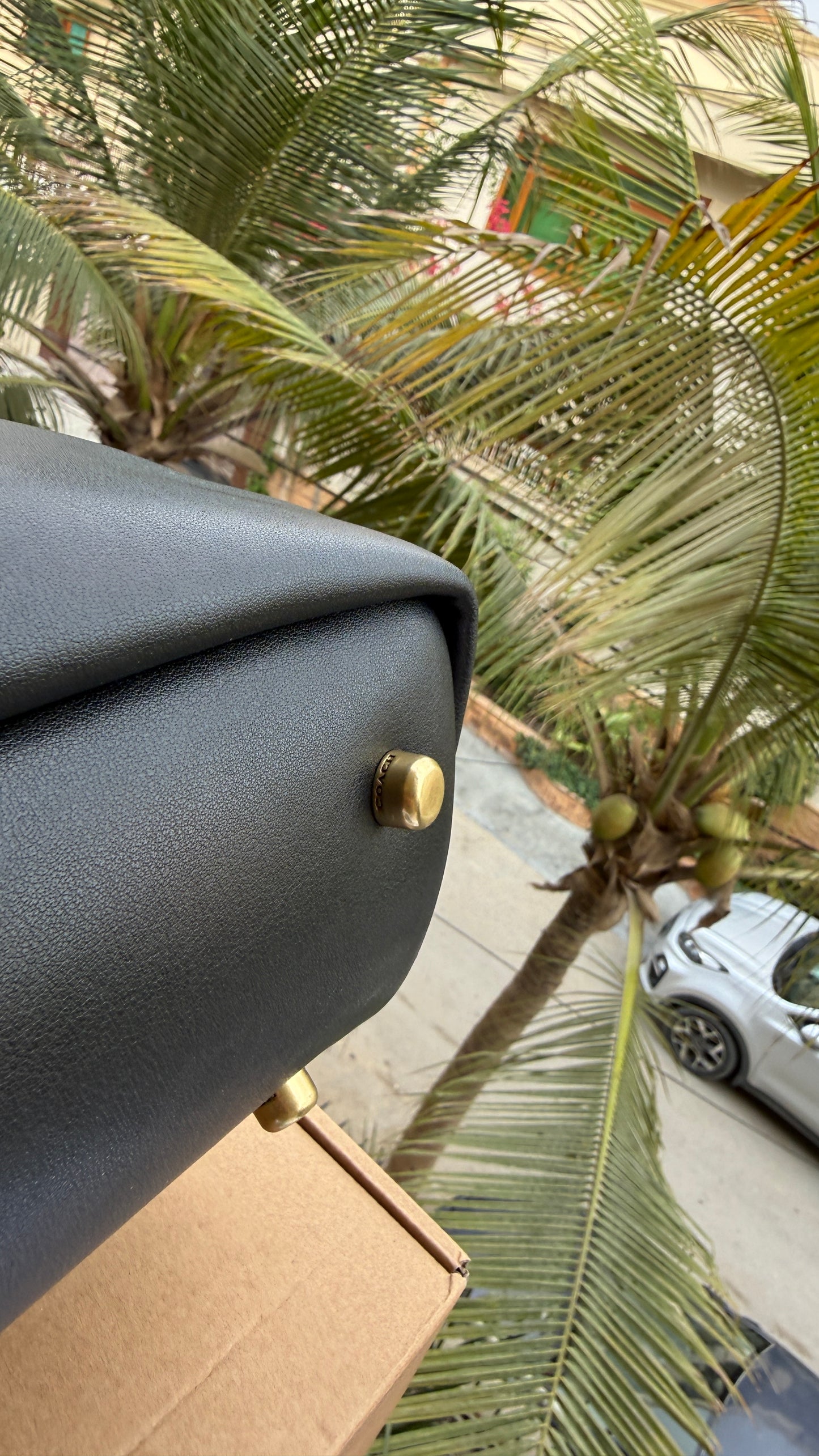 Coach Slouchy Rogue Top Handle bag-Master Plus Series.
