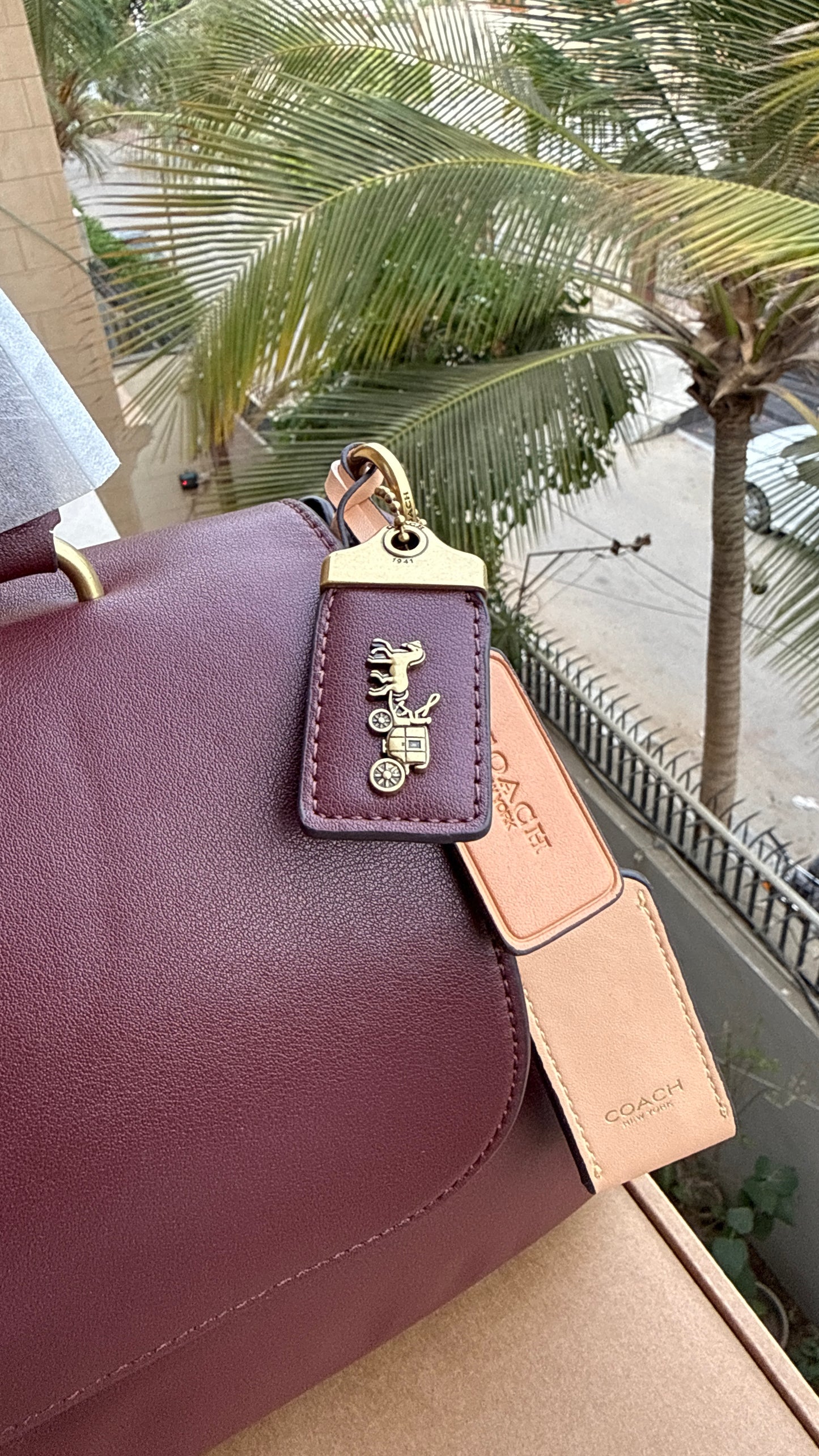 Coach Slouchy Rogue Top Handle bag-Master Plus Series.