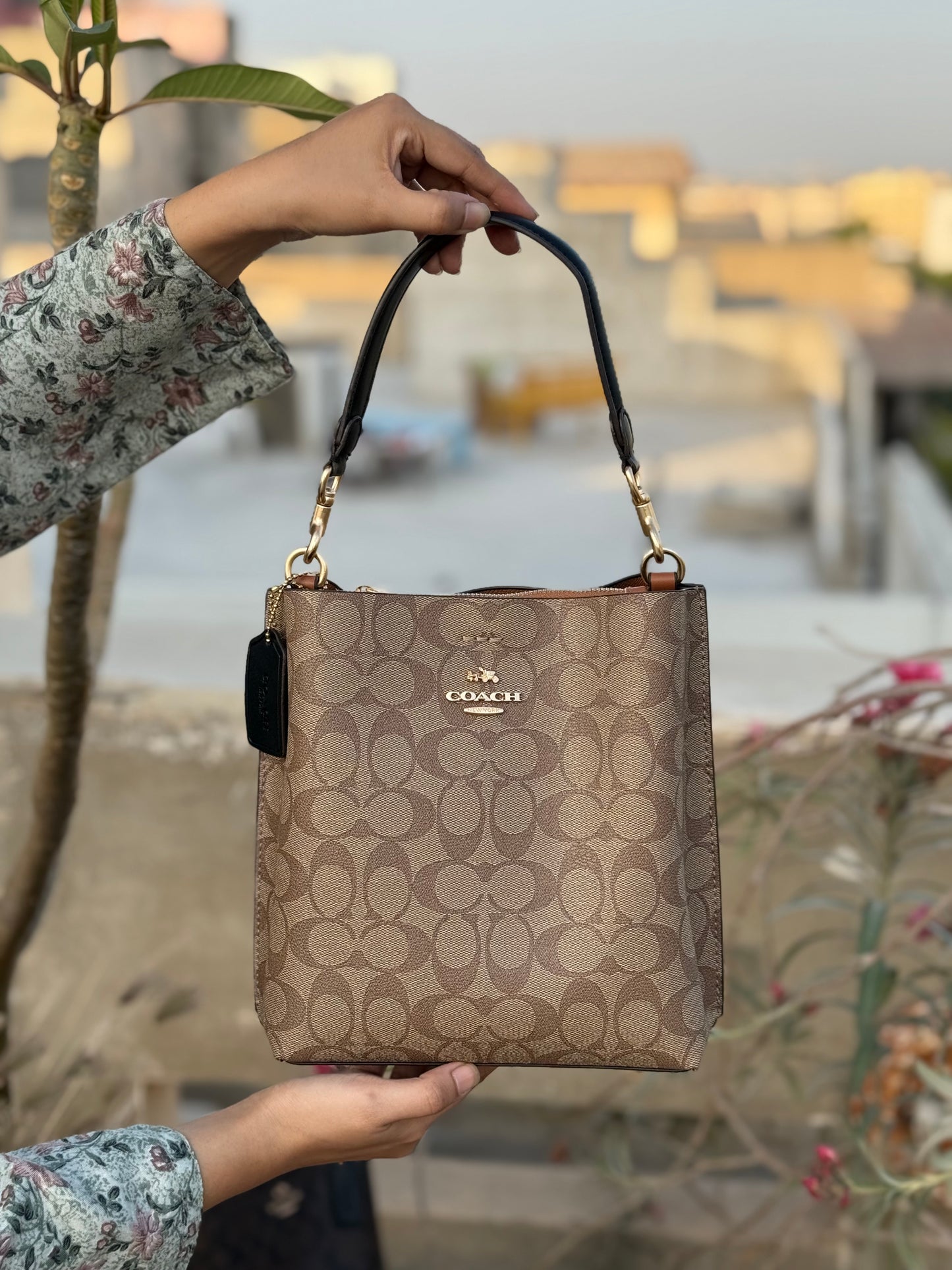 Coach Mollie 22 Bucket Bag Master Plus Series With box