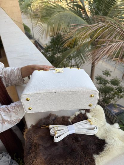 LV Capucines Basic Budget series bag