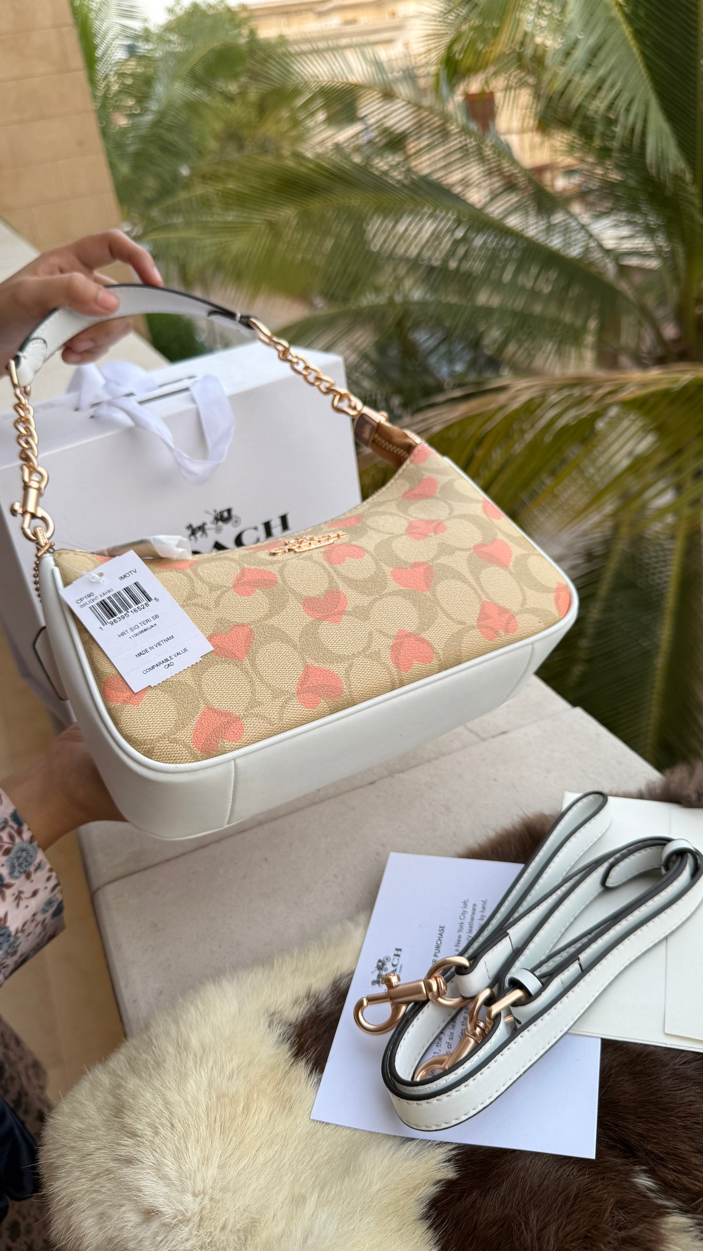 Coach Teri Hobo-Master Plus Series-folding box packaging.