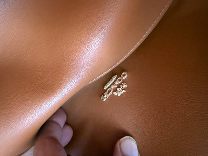 Coach Hadley Suede Tote Master Series.
