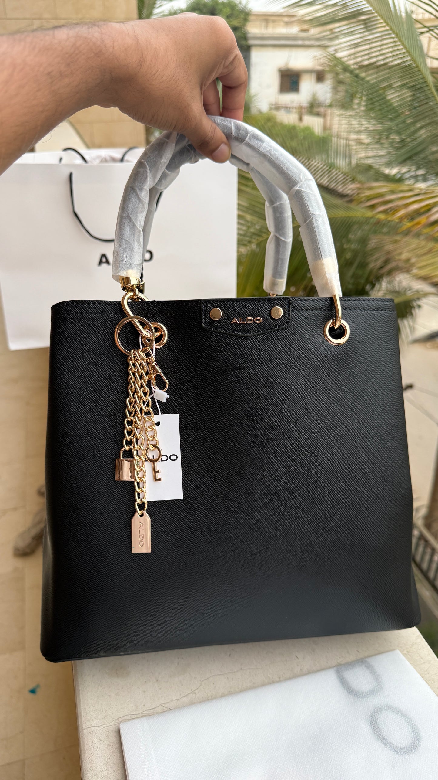 Aldo Lothycan Satchel-Master Series.