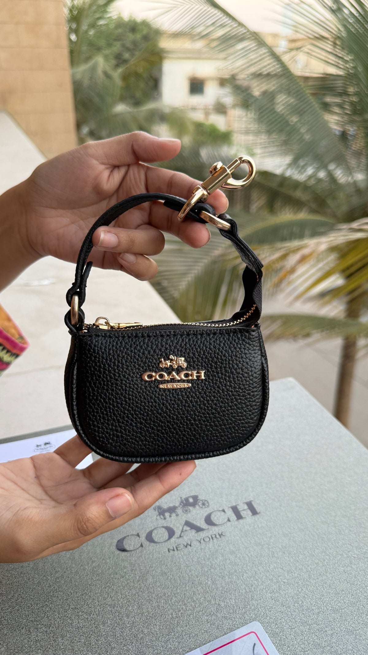 Coach Teri Hobo Complete Set With Box,Micro Bag & Cherry Charm-Master Plus