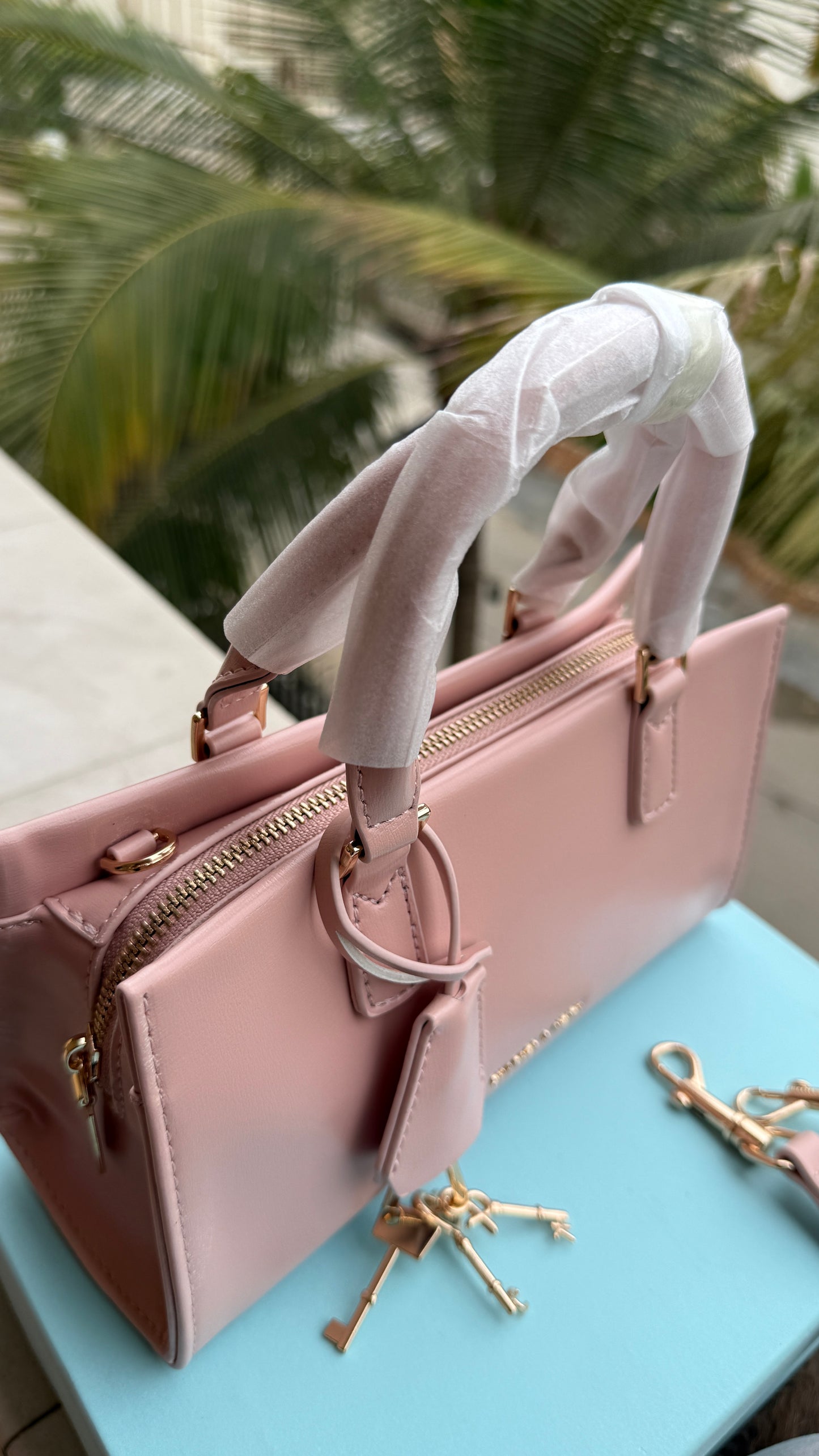 Charles & Keith Mini Kerry Top Handle Bag-Master Plus Series-With Box