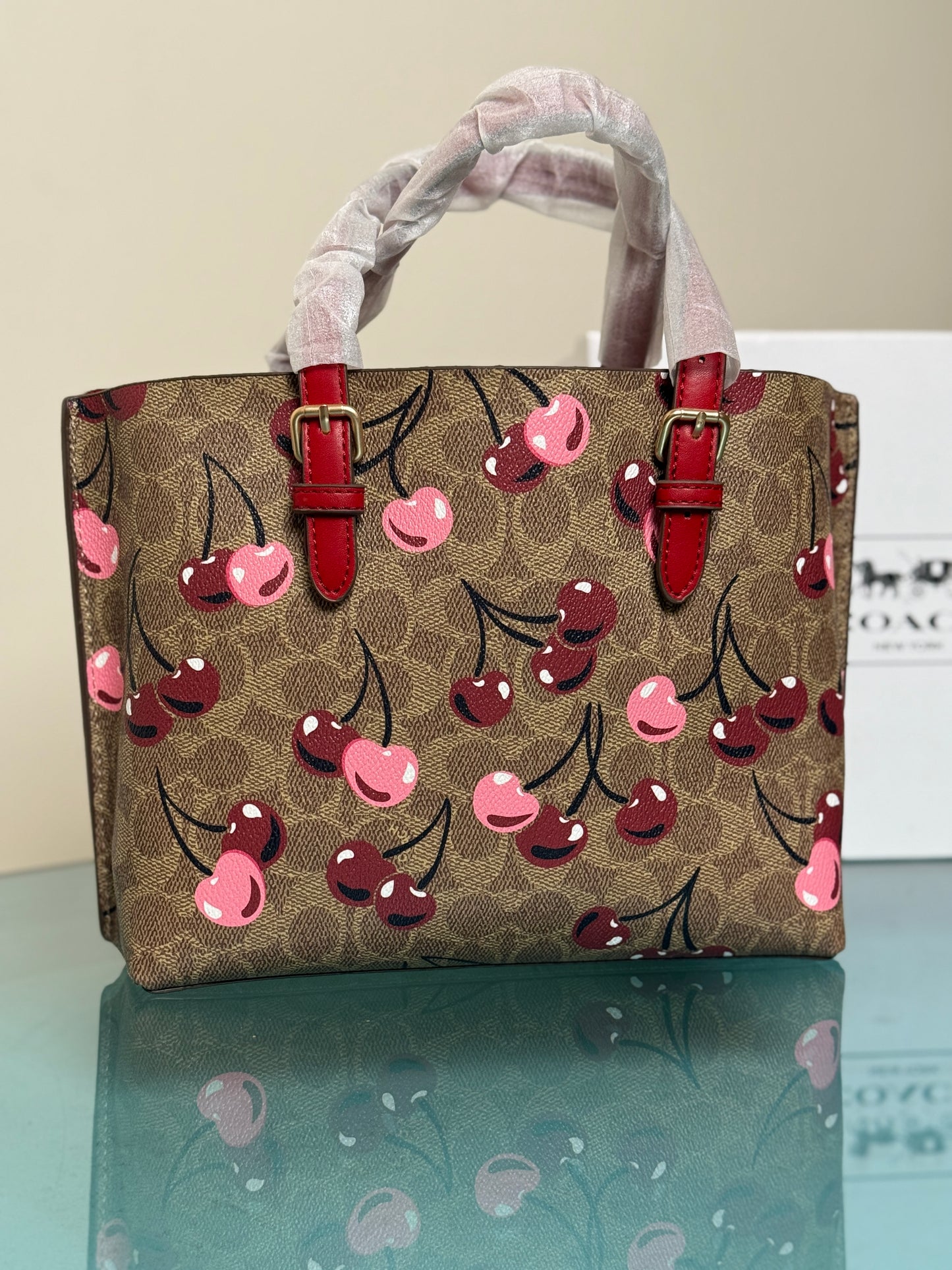 Coach Mollie 25 Tote Bag-Master Series With Box Packaging.