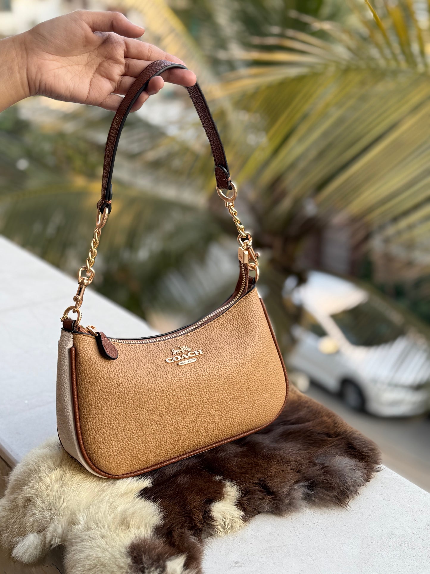 Coach Teri Hobo bag-With box-Master Series