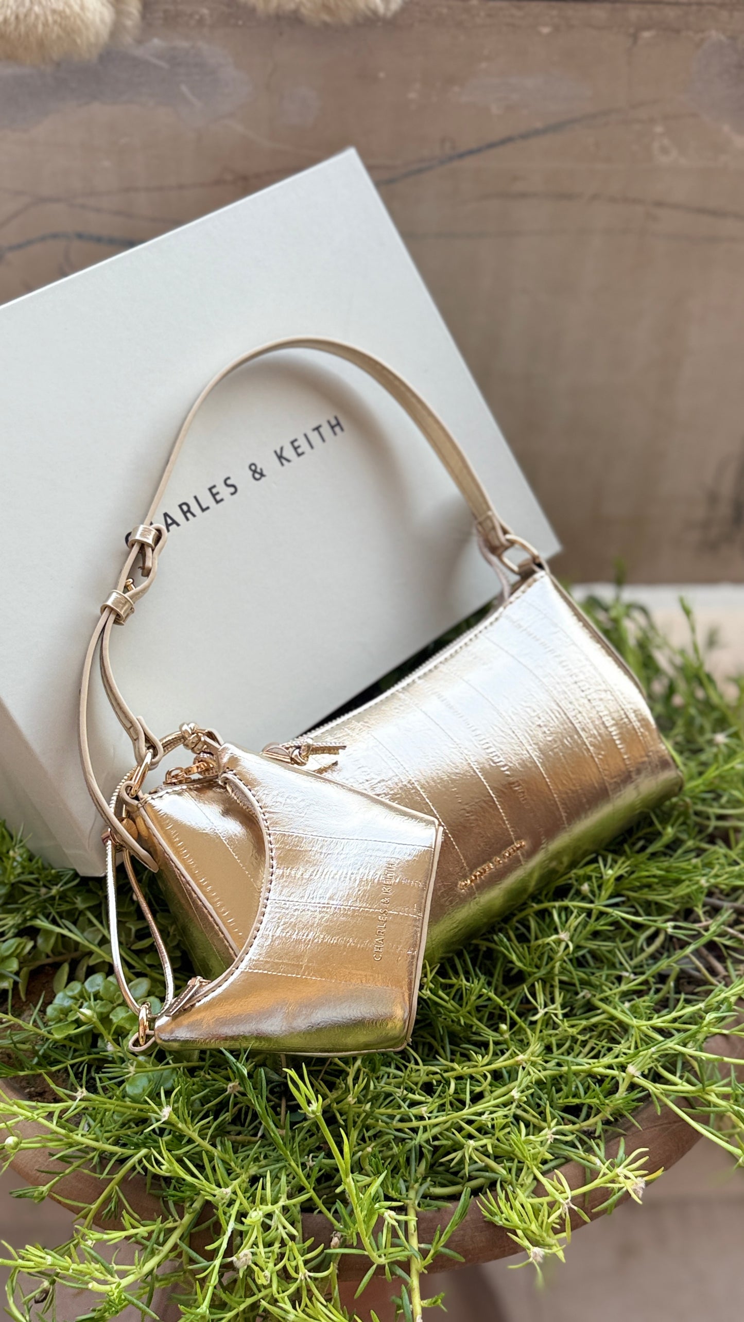 Charles & Keith Shoulder With Micro Bag-With box-Master Series.