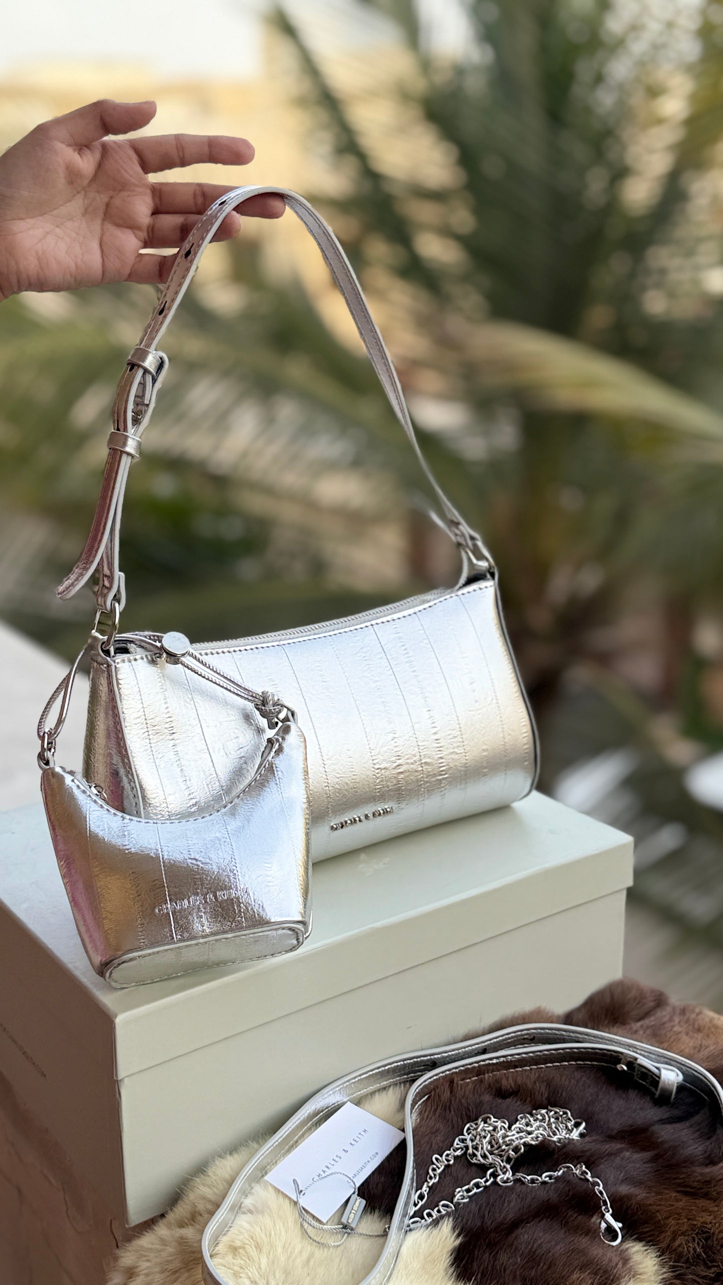 Charles & Keith Shoulder With Micro Bag-With box-Master Series.