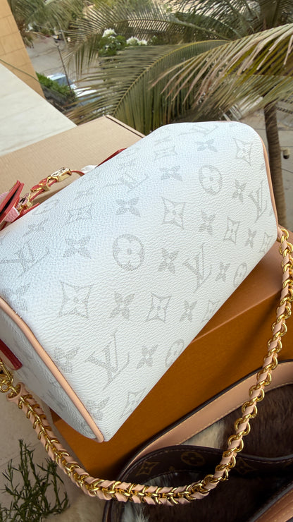 Louis Vuitton Speedy Nano-AAA Series-double Folding box