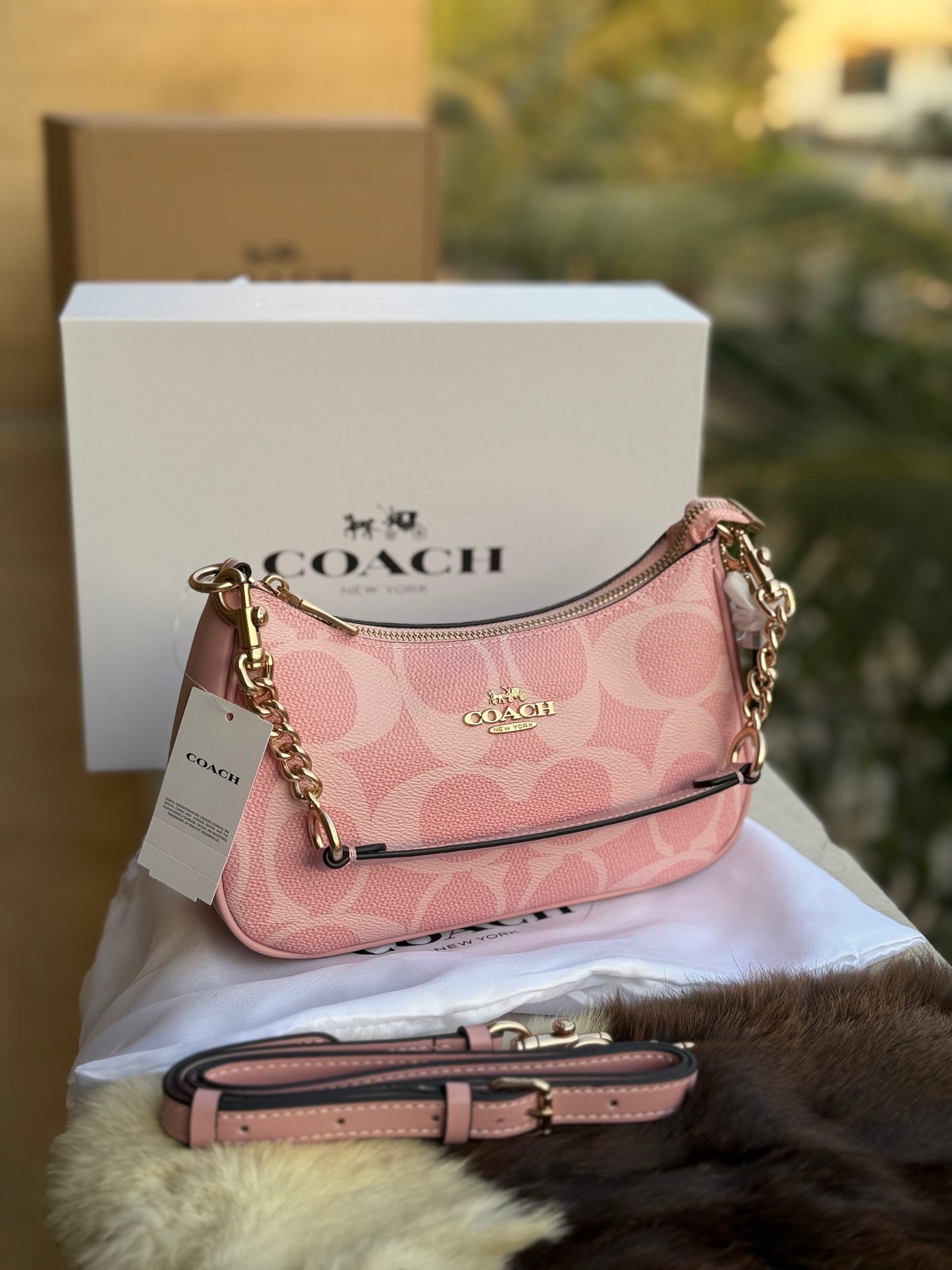 Coach Teri Hobo-Master Plus Series-Double folding box packaging