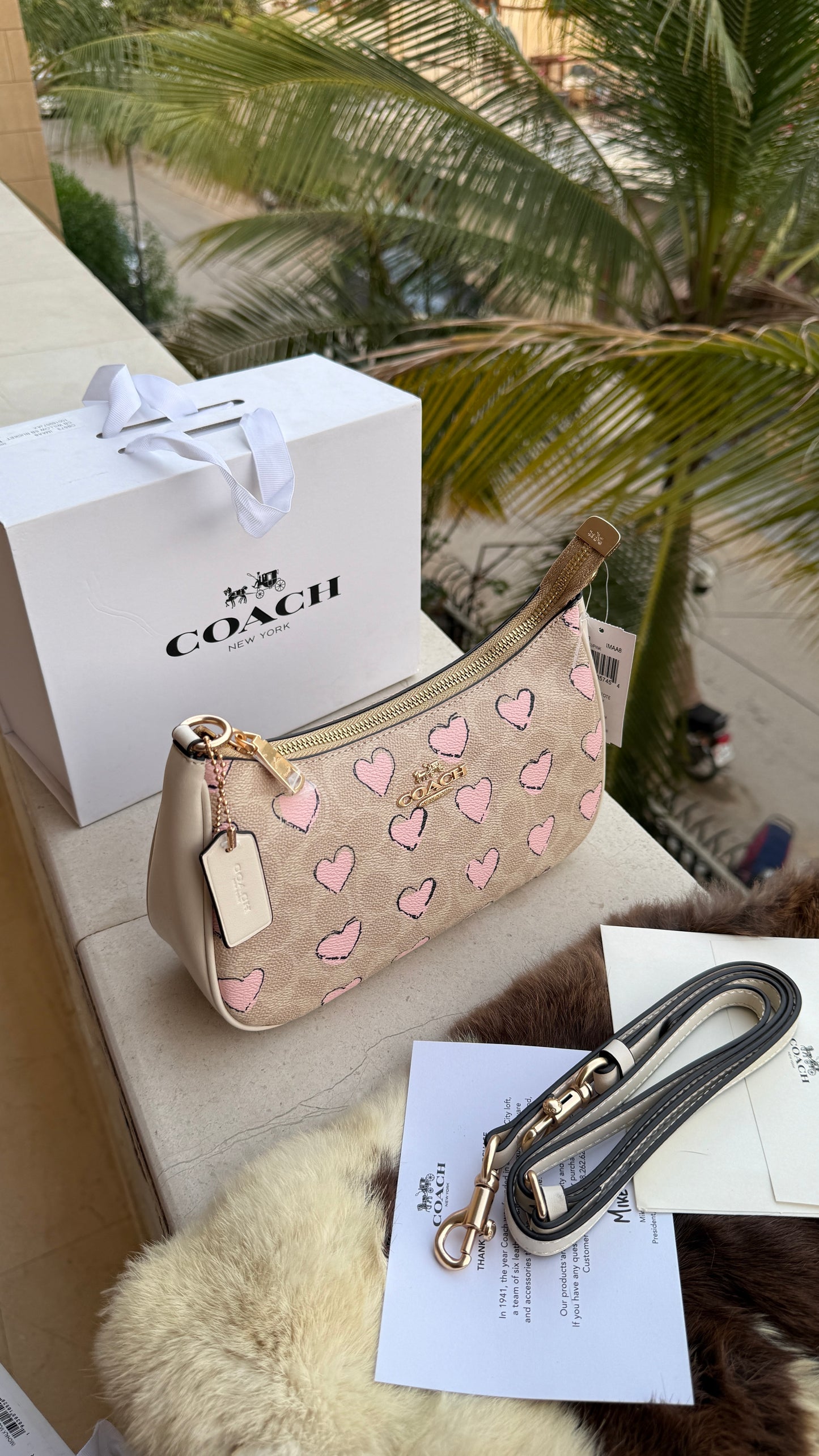 Coach Teri Hobo-Master Plus Series-folding box packaging.