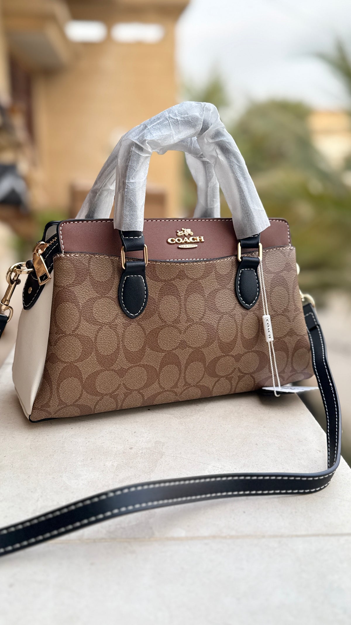 Coach Darcie Caryall mini-Box Packaging-Master Series