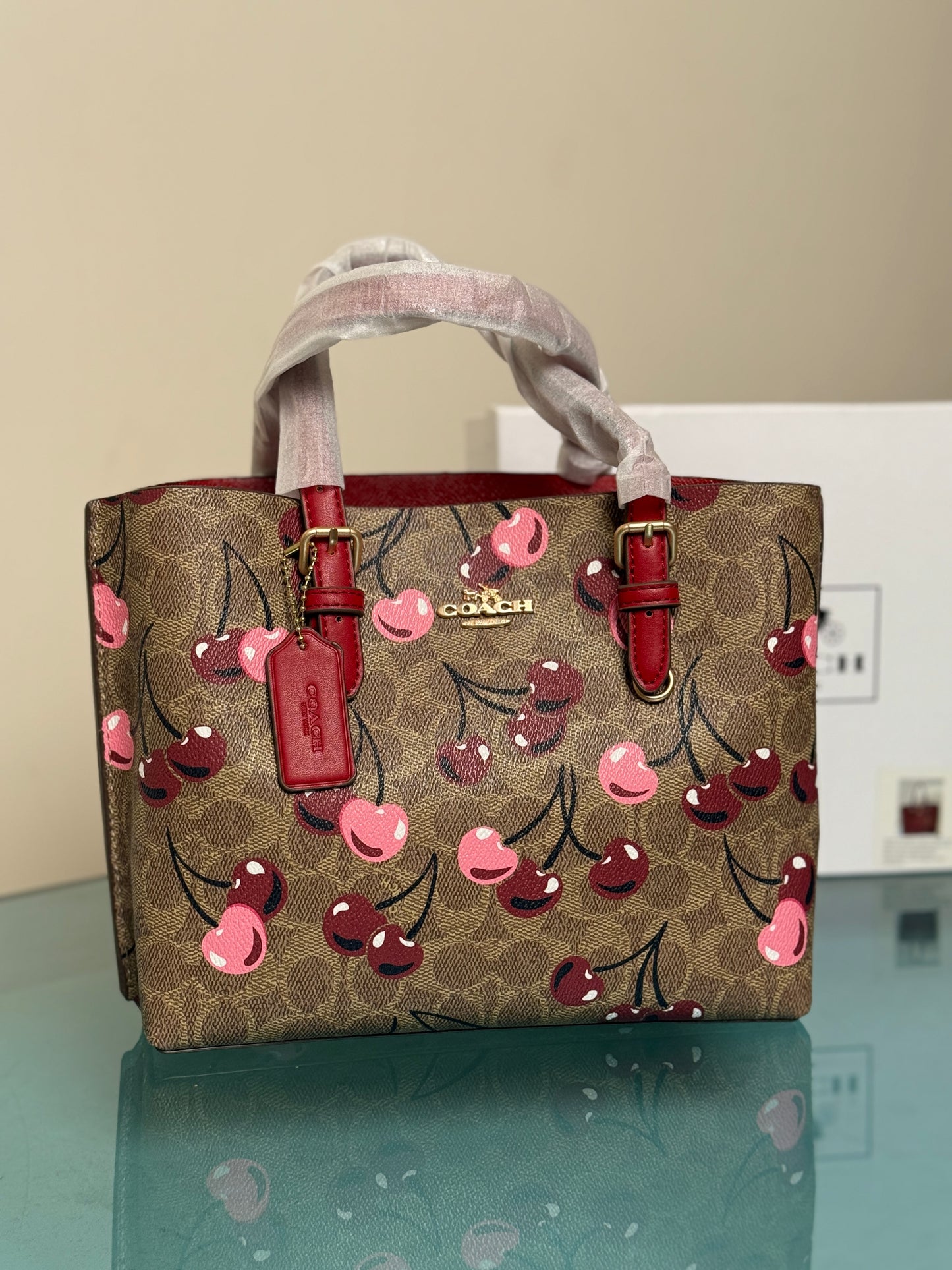 Coach Mollie 25 Tote Bag-Master Series With Box Packaging.