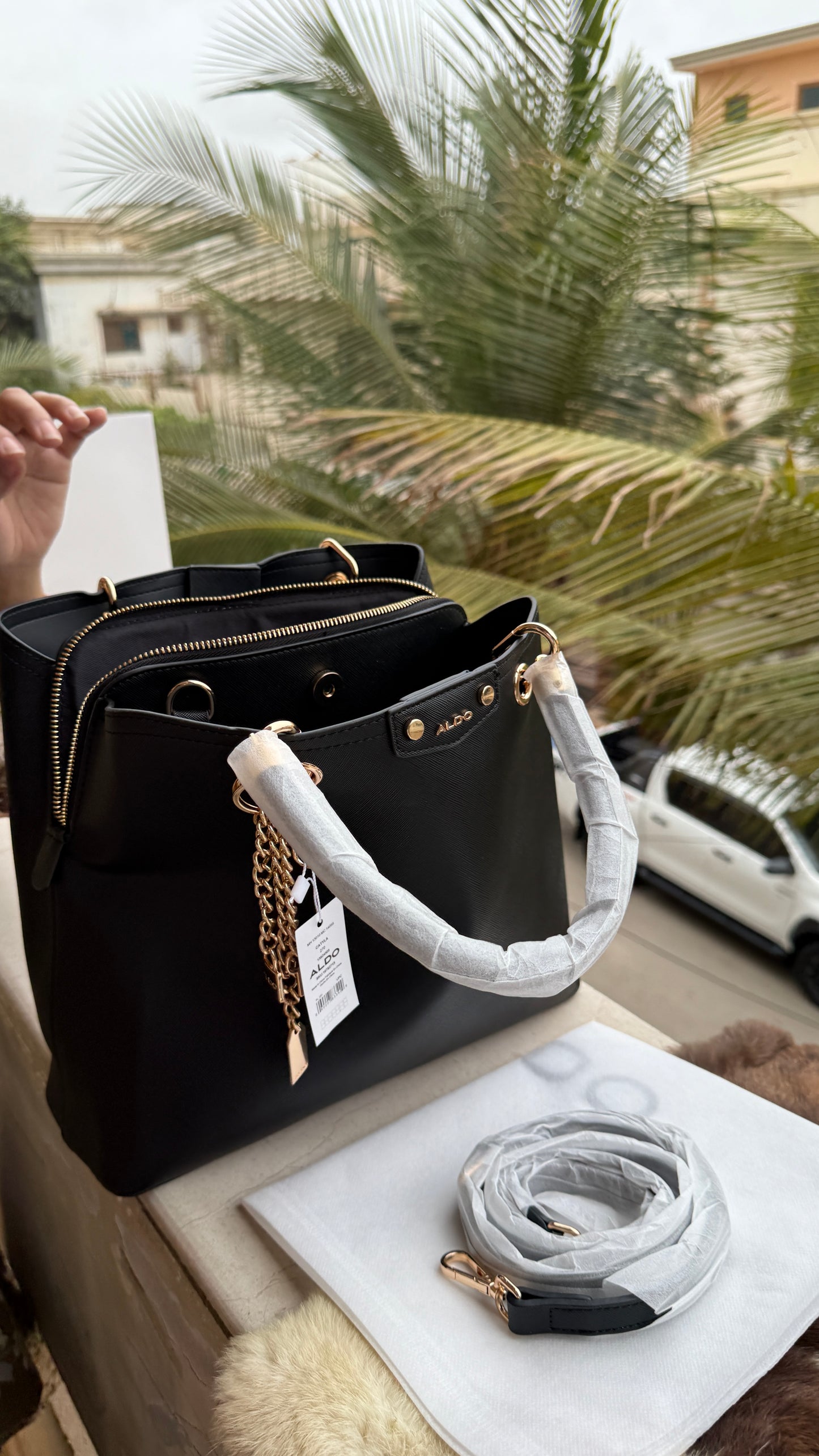 Aldo Lothycan Satchel-Master Series.