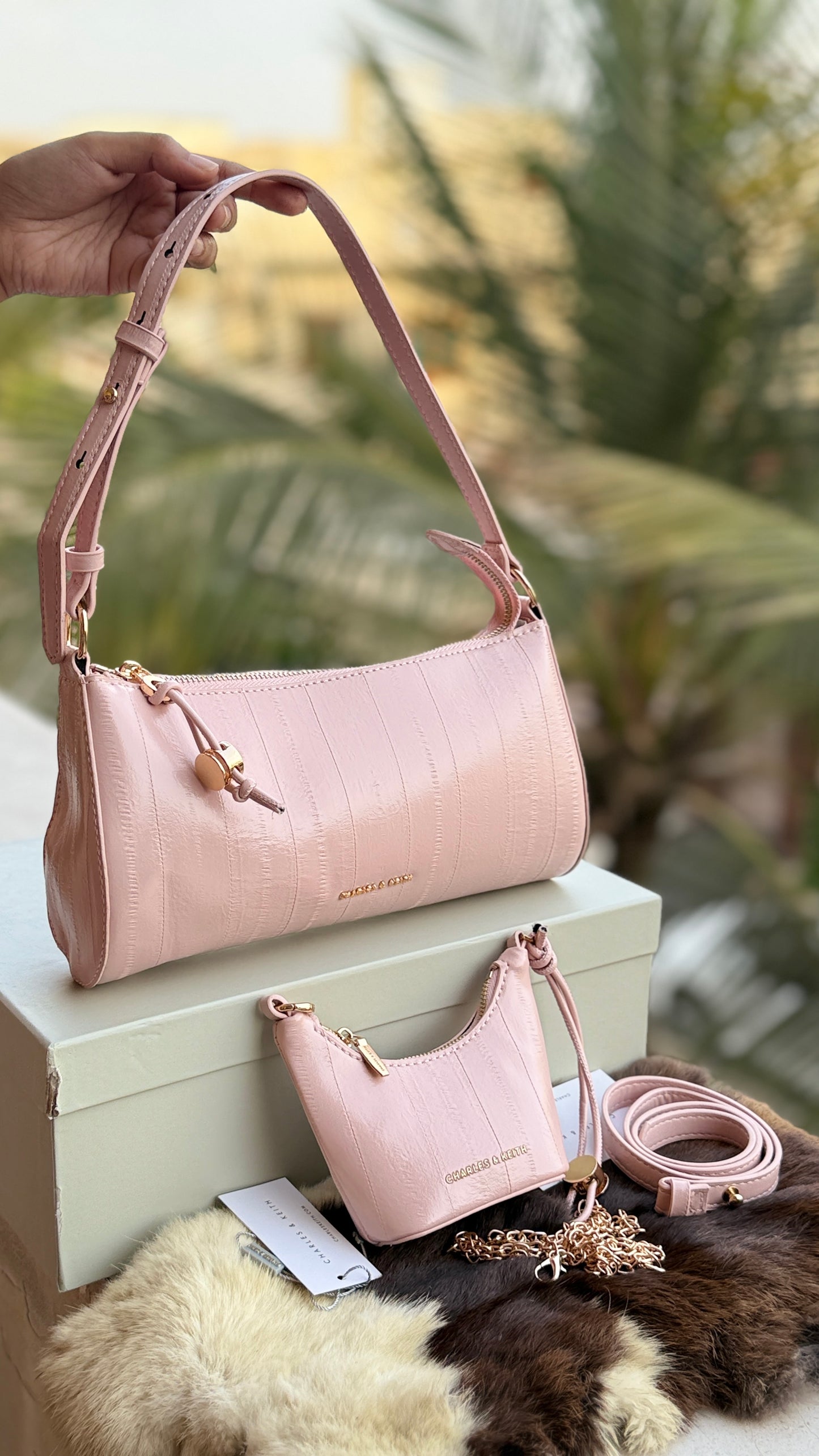Charles & Keith Shoulder With Micro Bag-With box-Master Series.