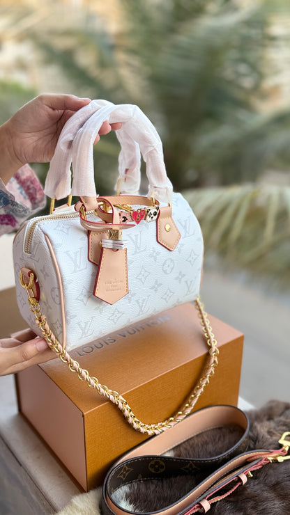 Louis Vuitton Speedy Nano-AAA Series-double Folding box