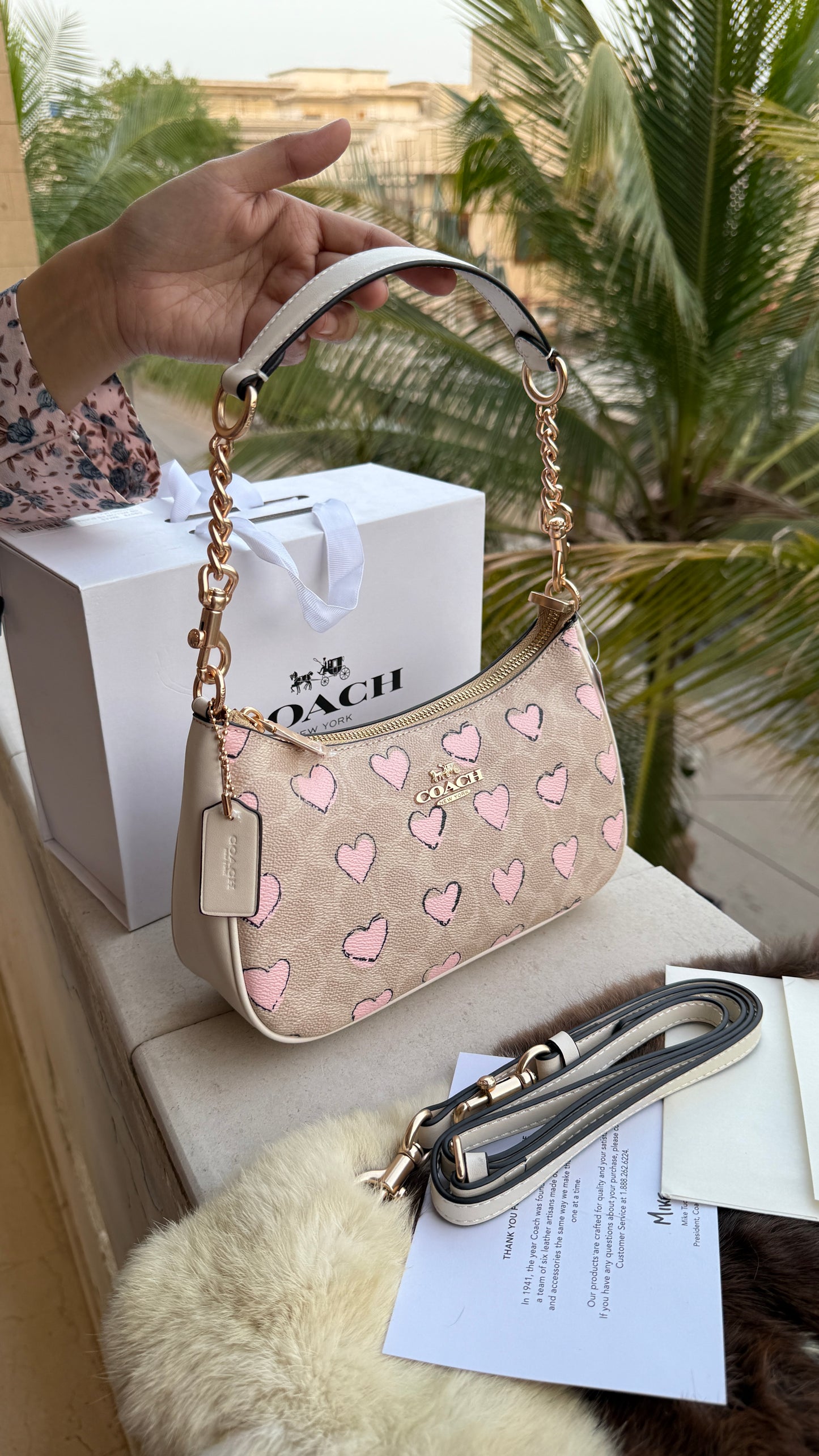 Coach Teri Hobo-Master Plus Series-folding box packaging.