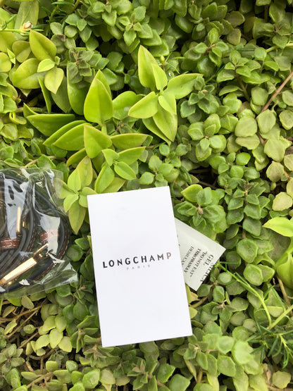 LONG CHAMP LE PLIAGE ORIGINAL POUCH WITH HANDLE ( Master Series )