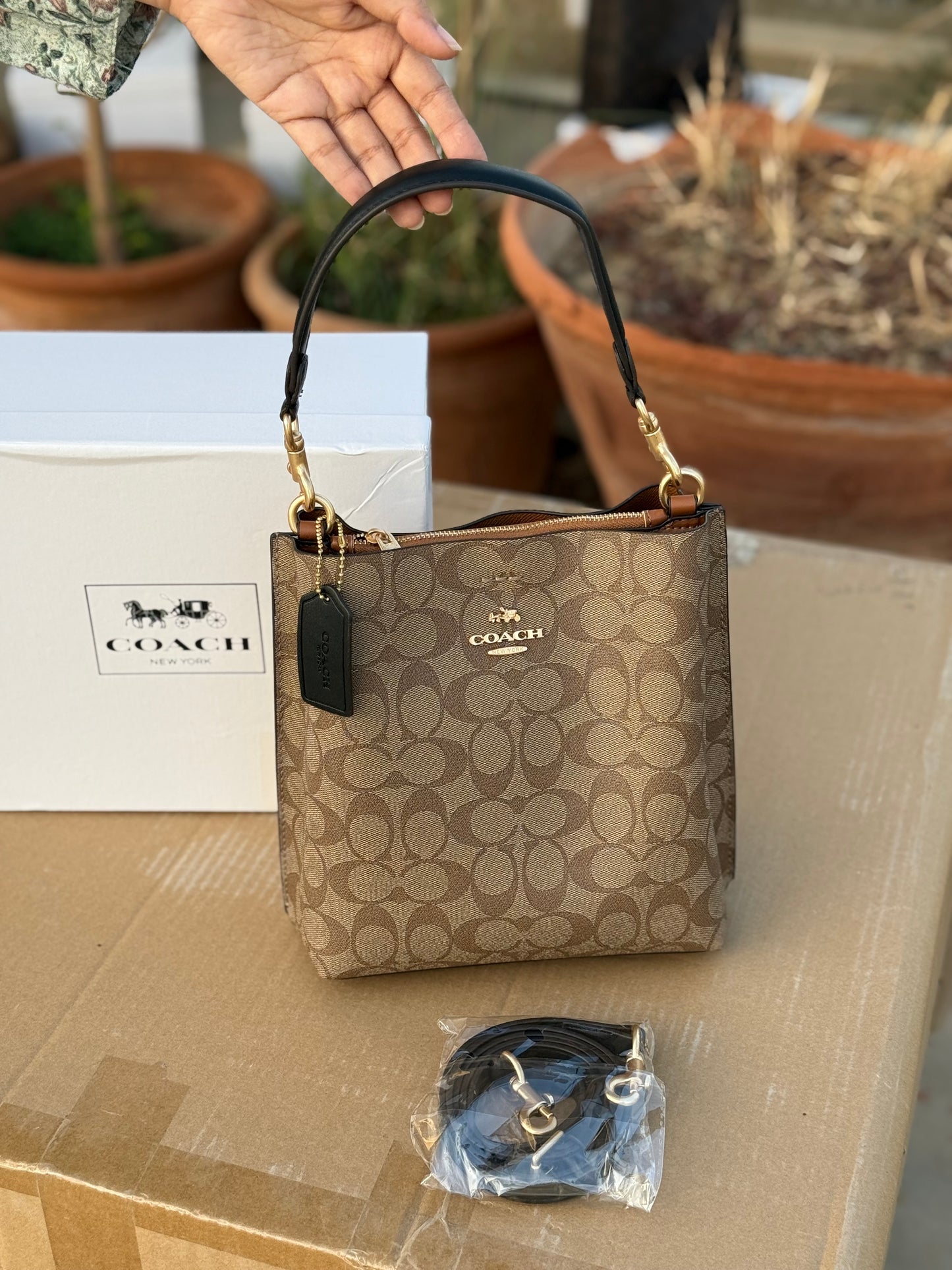 Coach Mollie 22 Bucket Bag Master Plus Series With box