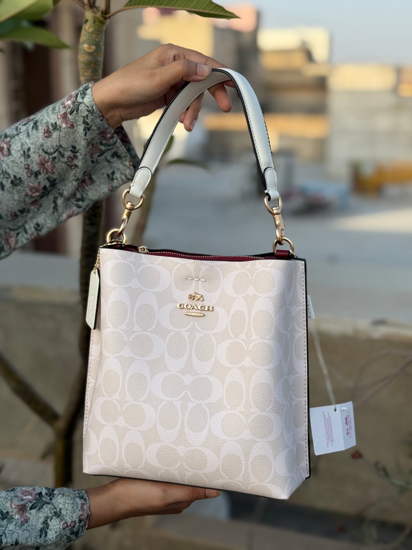 Coach Mollie 22 Bucket Bag Master Plus Series With box