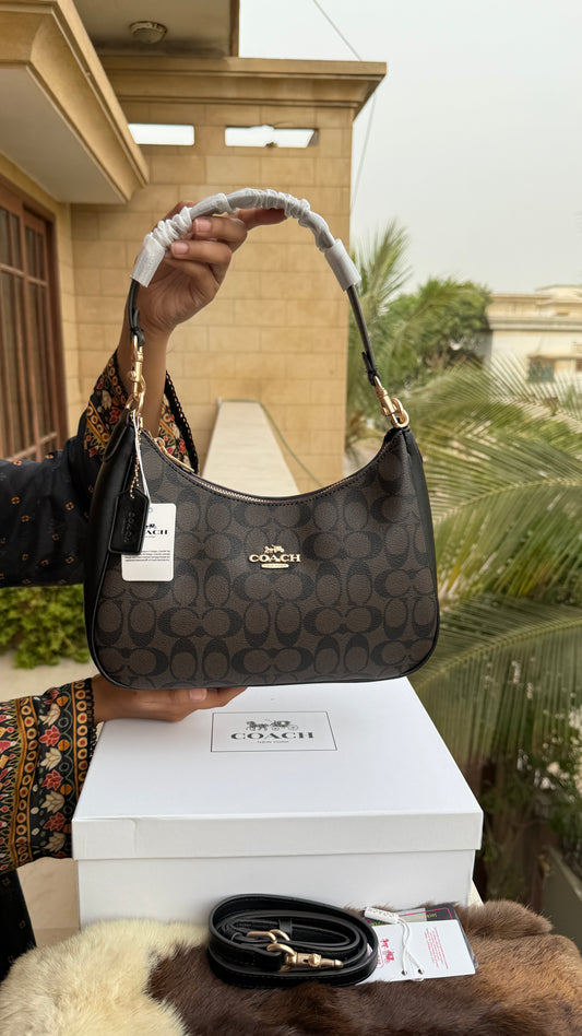 Coach Teri Hobo Large-With Box Master Series
