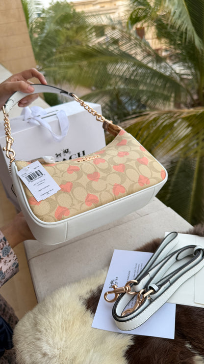 Coach Teri Hobo-Master Plus Series-folding box packaging.