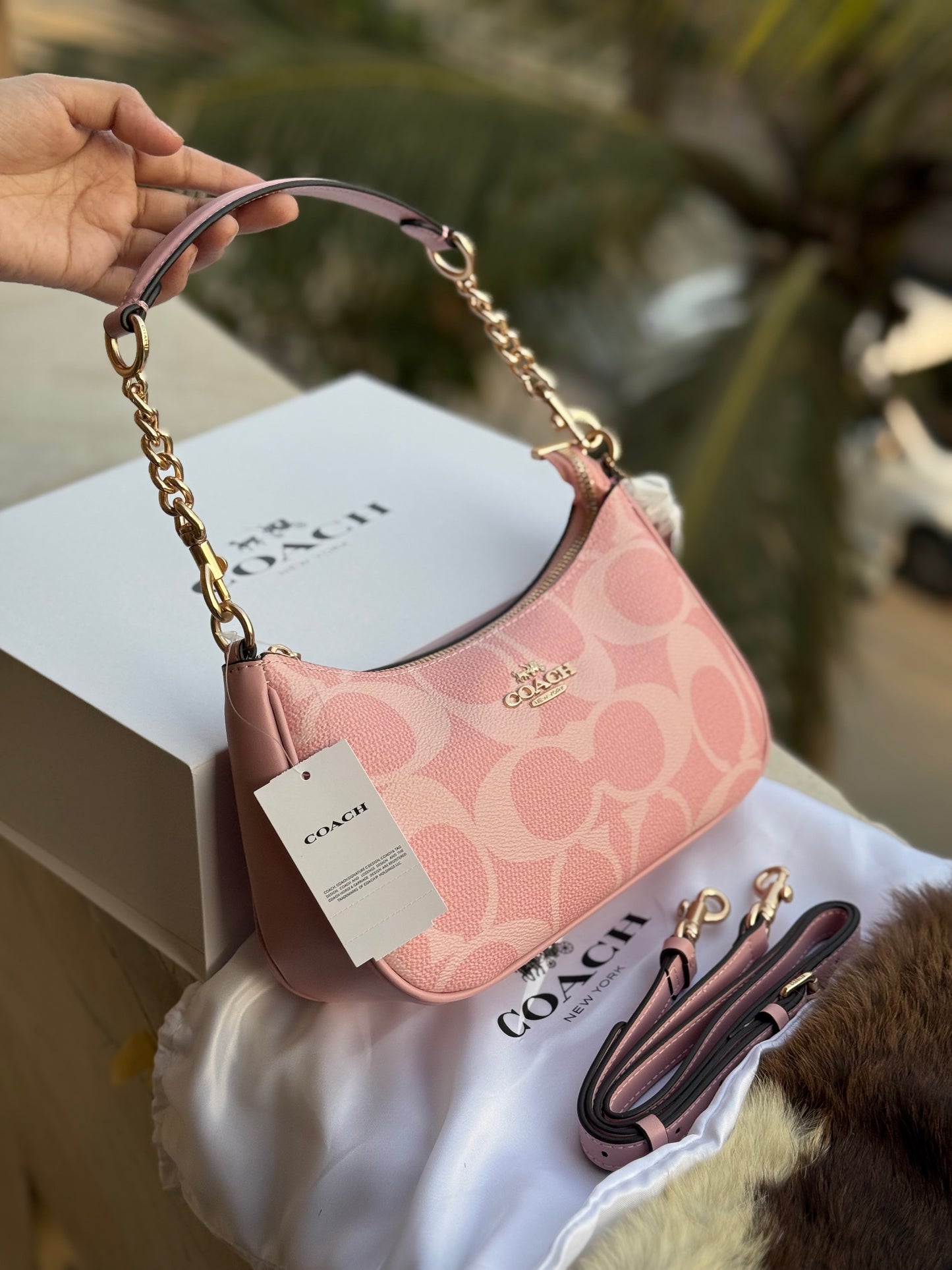 Coach Teri Hobo-Master Plus Series-Double folding box packaging