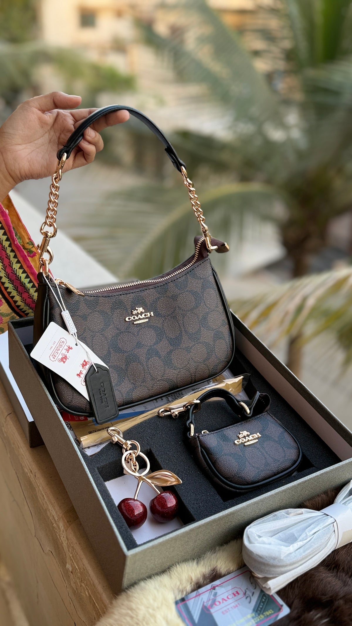 Coach Teri Hobo Complete Set With Box,Micro Bag & Cherry Charm-Master Plus